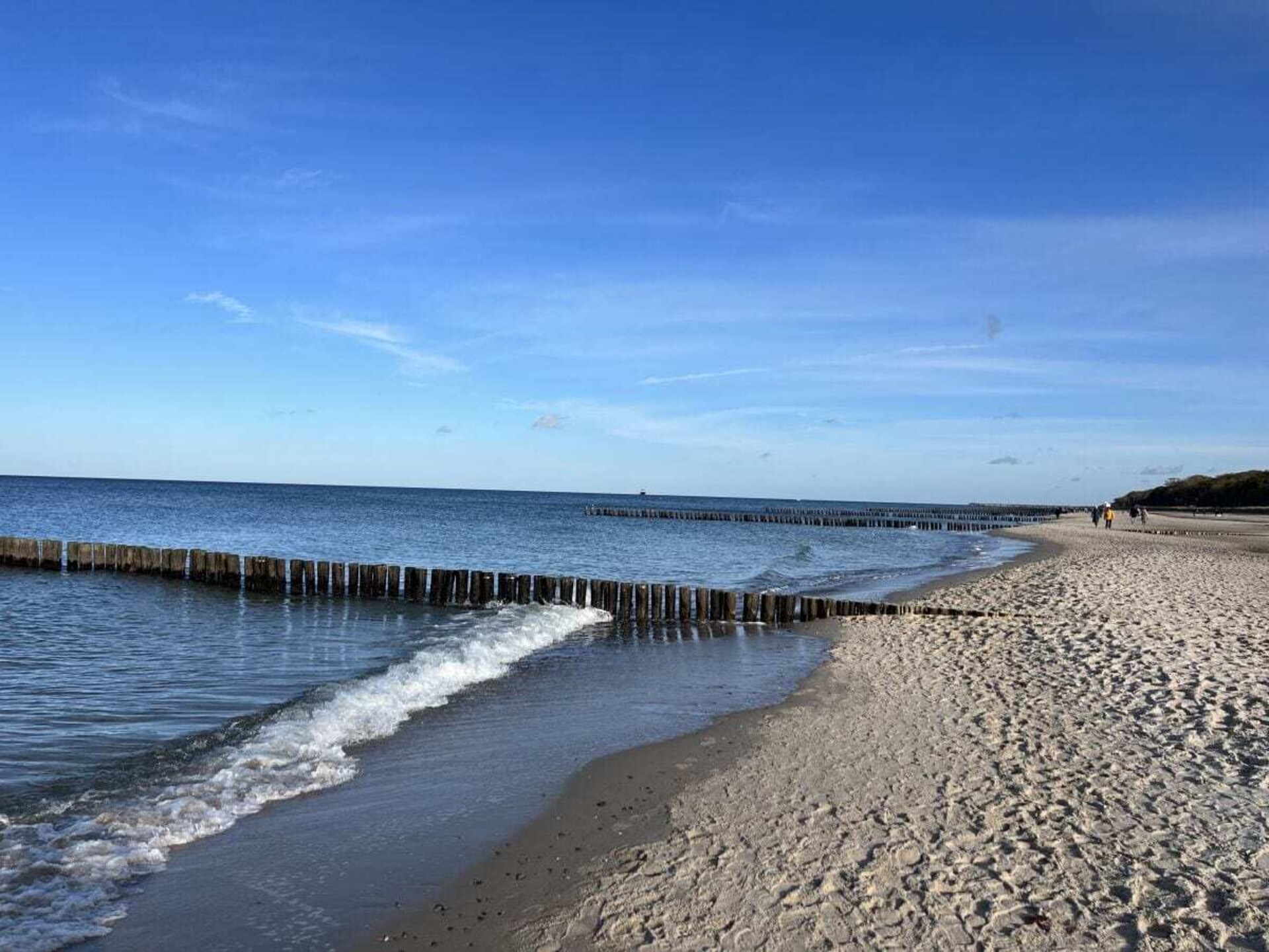 Appartement Seestern in Villa Waldtraut – Uitzicht op het stadsbos nabij het strand - foto 25