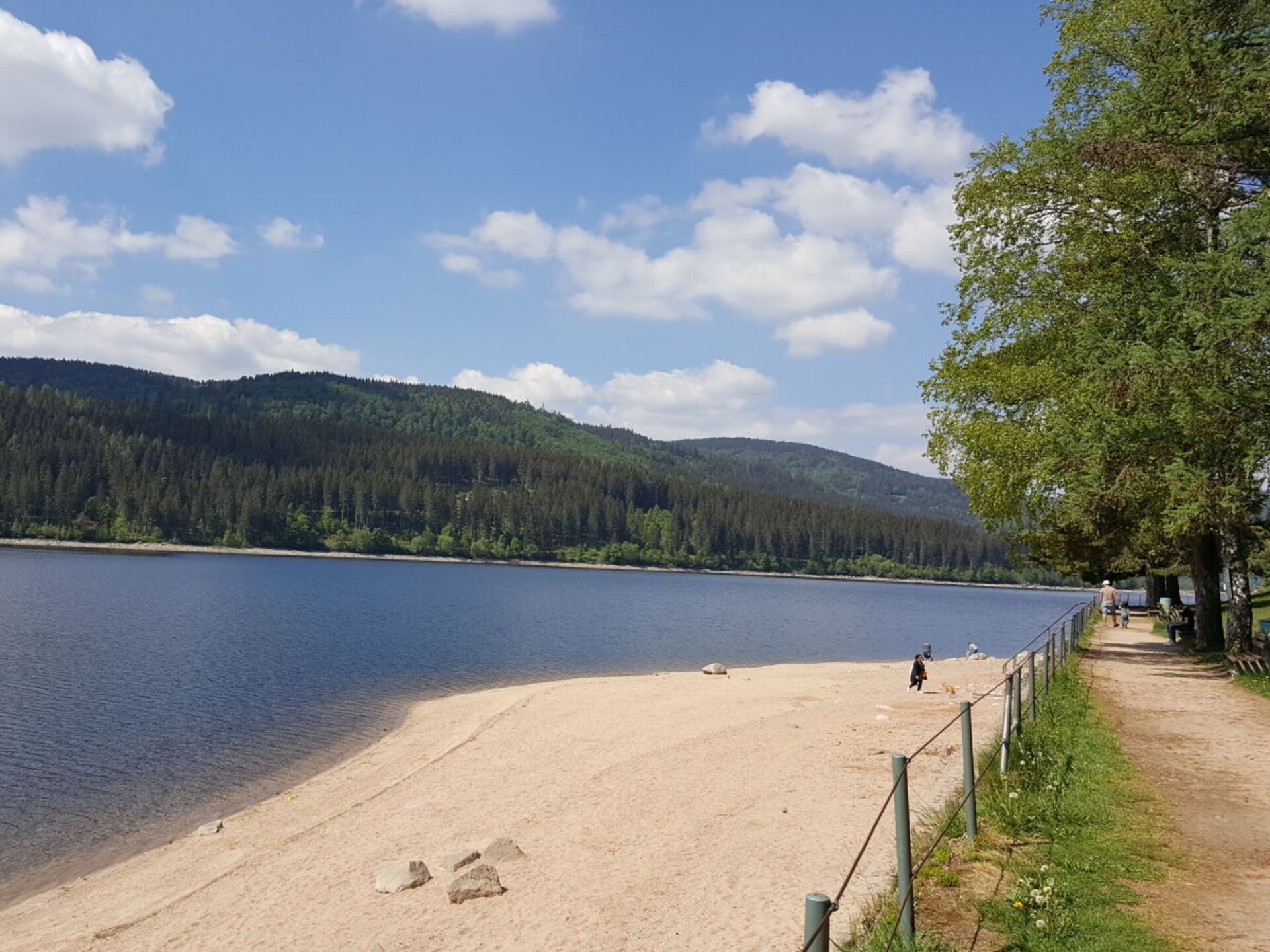 Modern appartement in Schluchsee met sauna, zwembad en balkon - foto 25