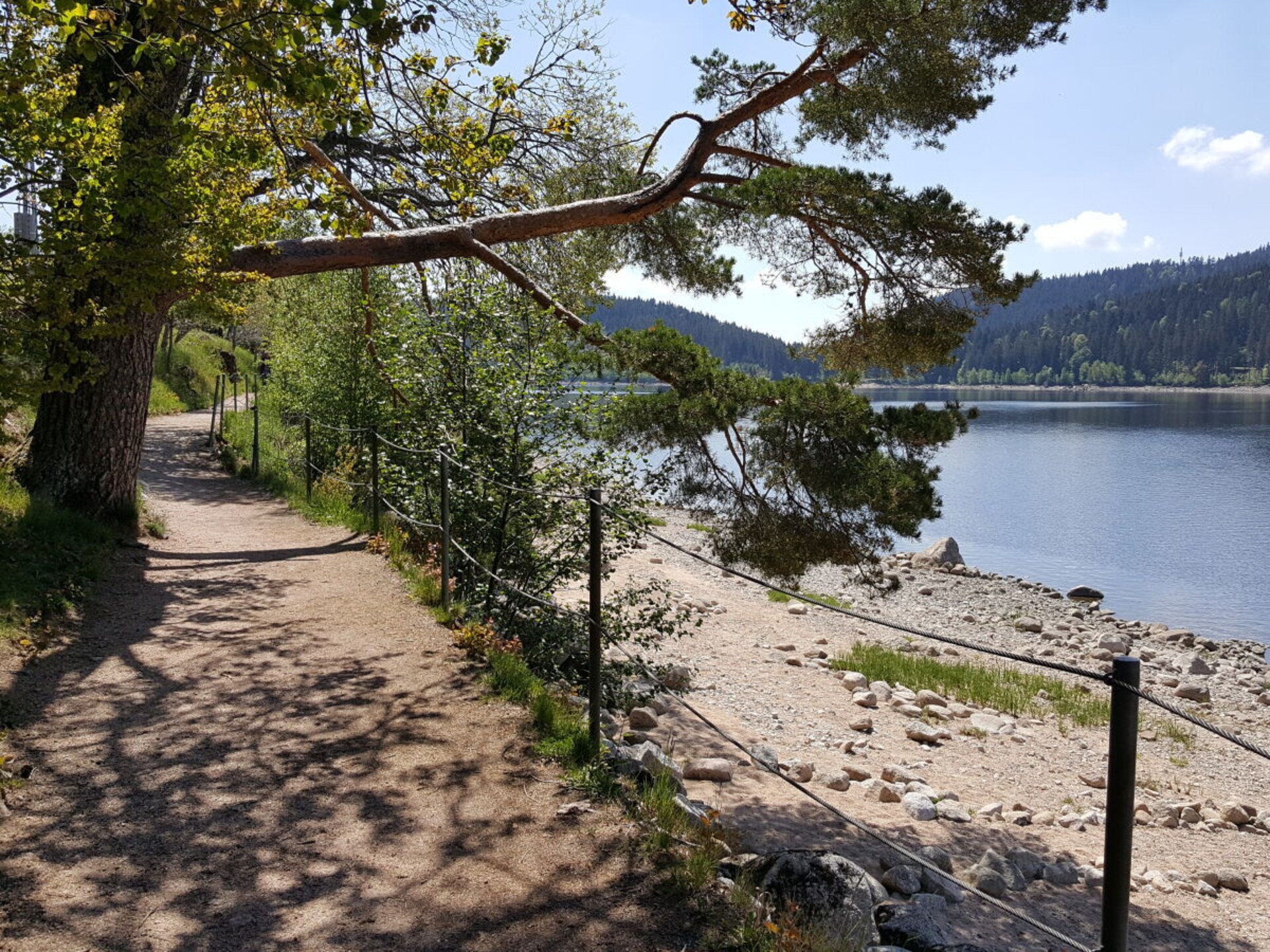 Modern appartement in Schluchsee met sauna, zwembad en balkon - foto 27