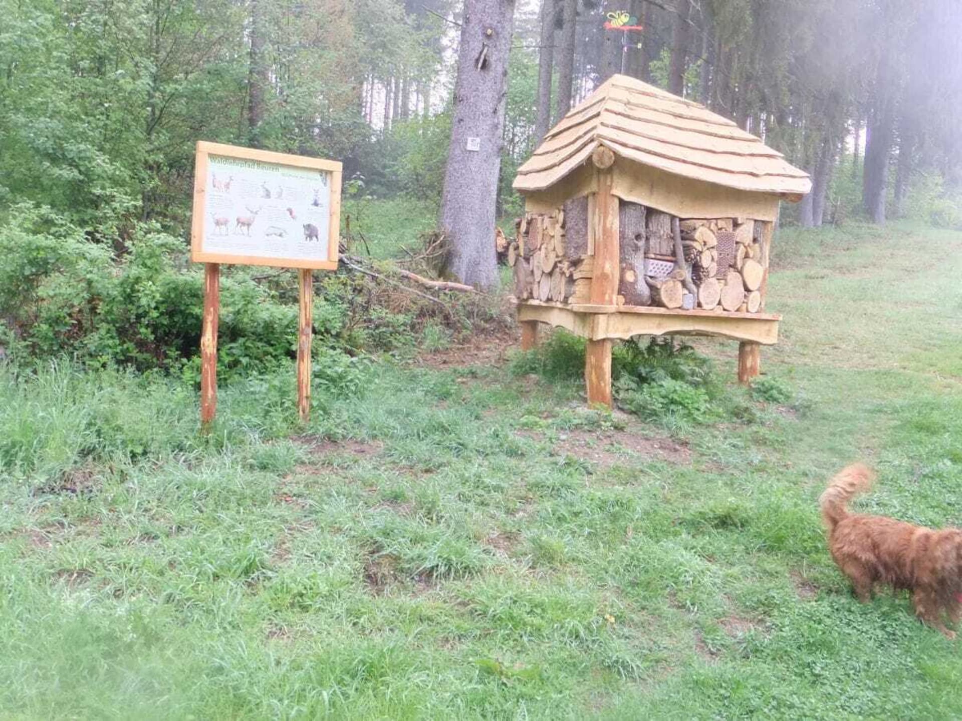 In het centrum van Beuren: Ruim vakantiehuis voor 6 personen - foto 33