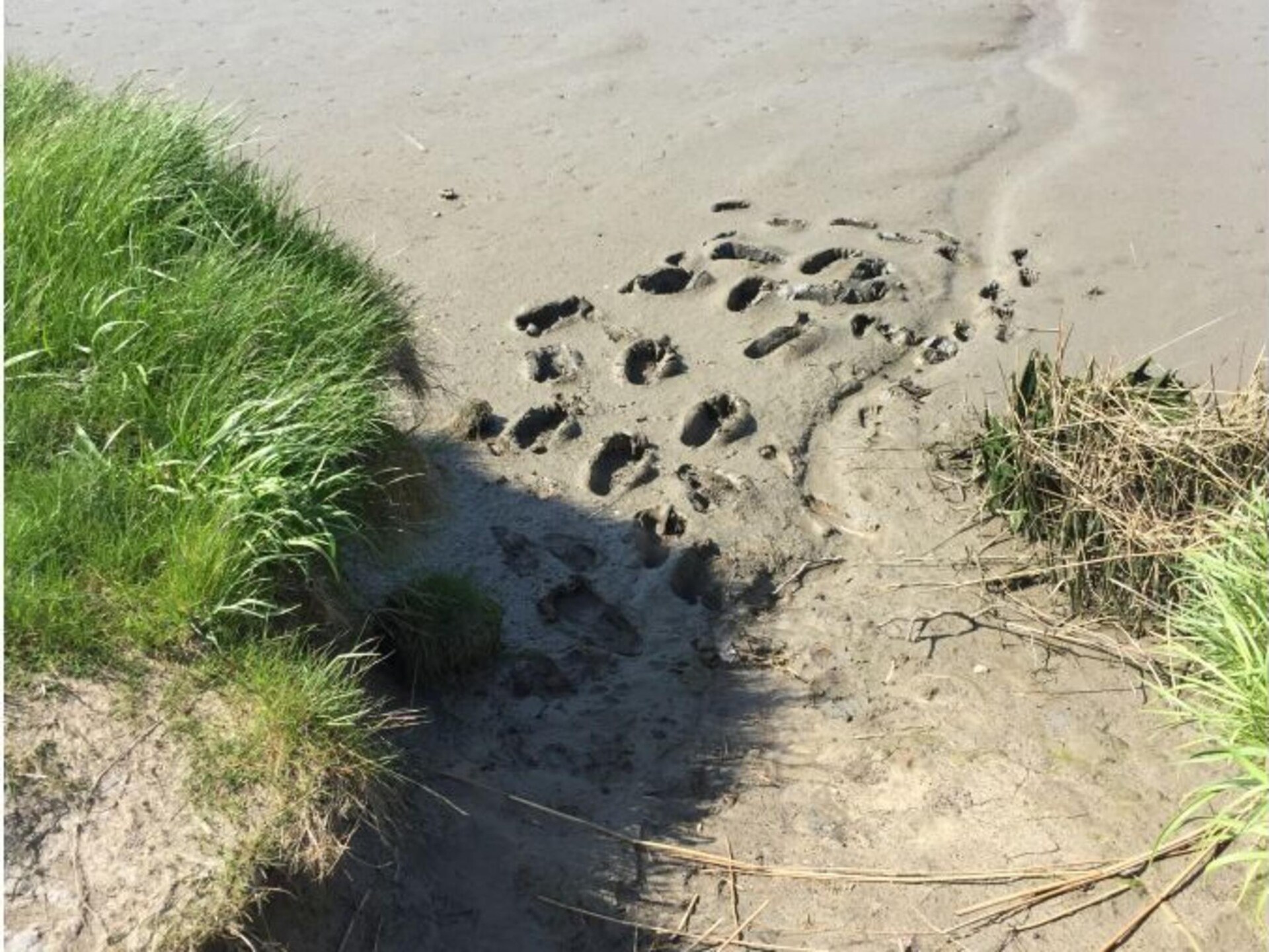 Ruim vakantiehuis voor 9 personen nabij de Noordzee in Varel - foto 17