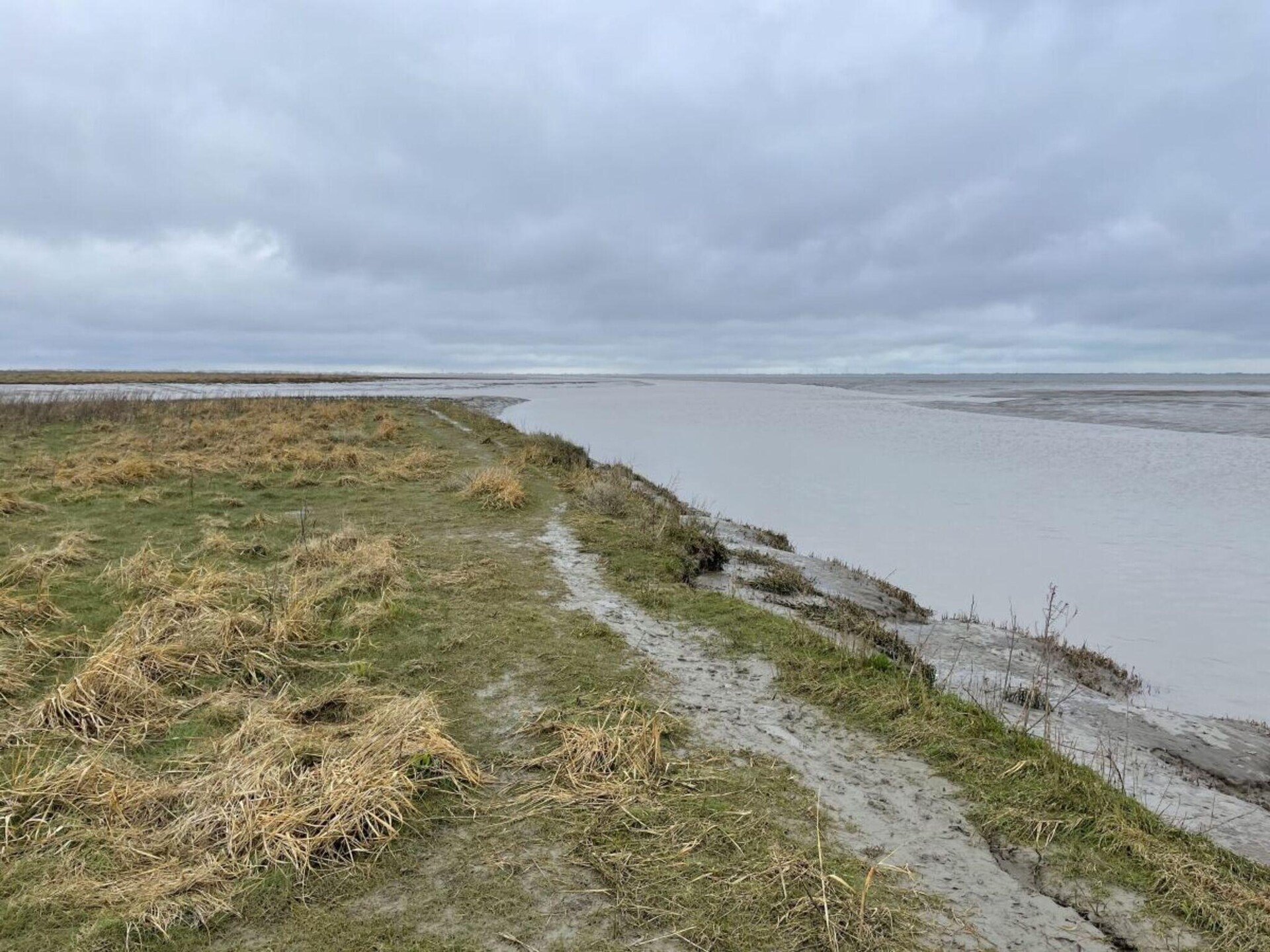 Ruim vakantiehuis voor 9 personen nabij de Noordzee in Varel - foto 18