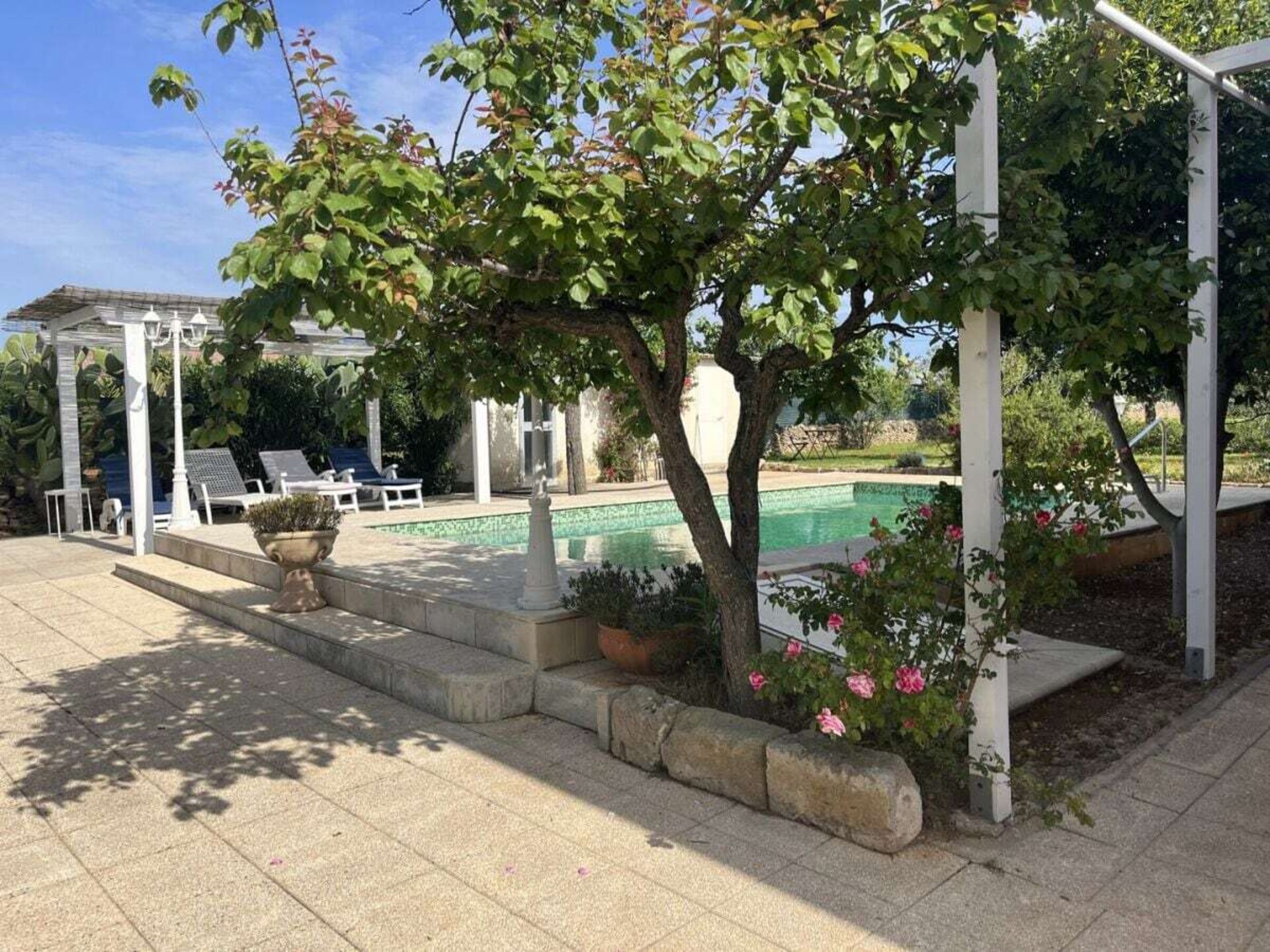 Landhuis in olijfgaard met privézwembad nabij Uggiano Montefusco - foto 9