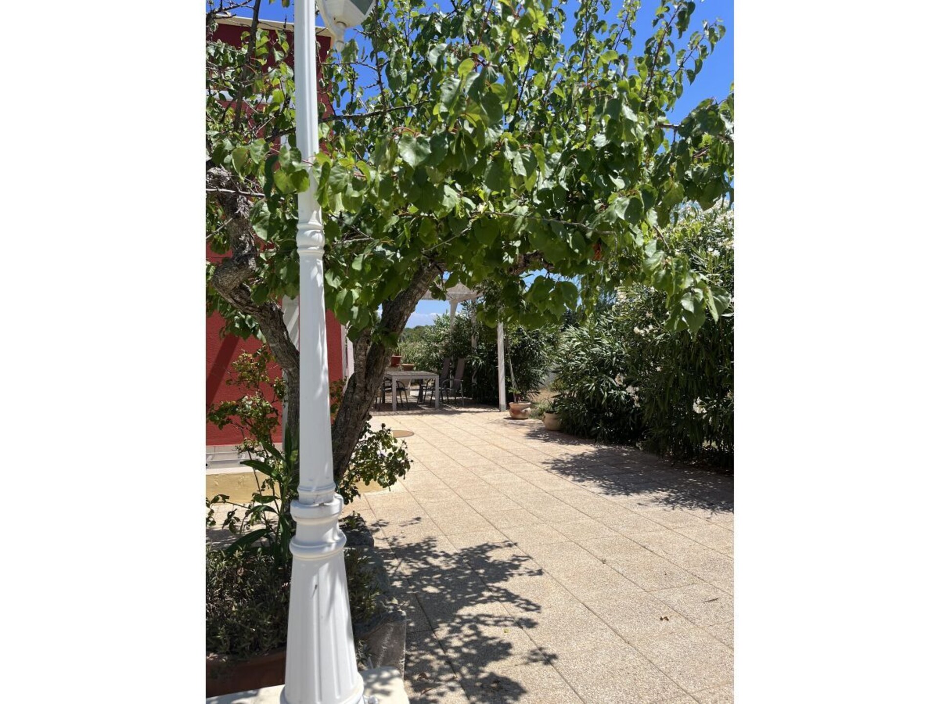 Landhuis in olijfgaard met privézwembad nabij Uggiano Montefusco - foto 19