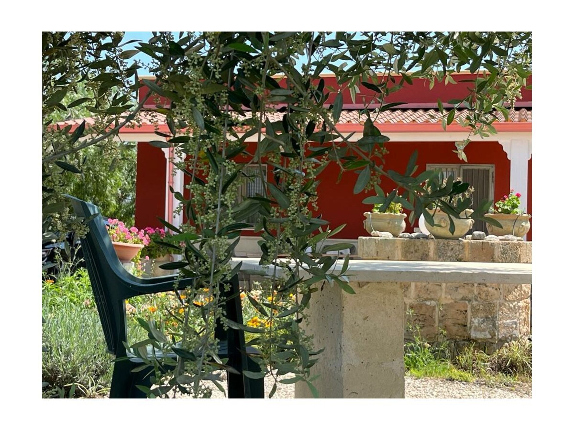Landhuis in olijfgaard met privézwembad nabij Uggiano Montefusco - foto 20