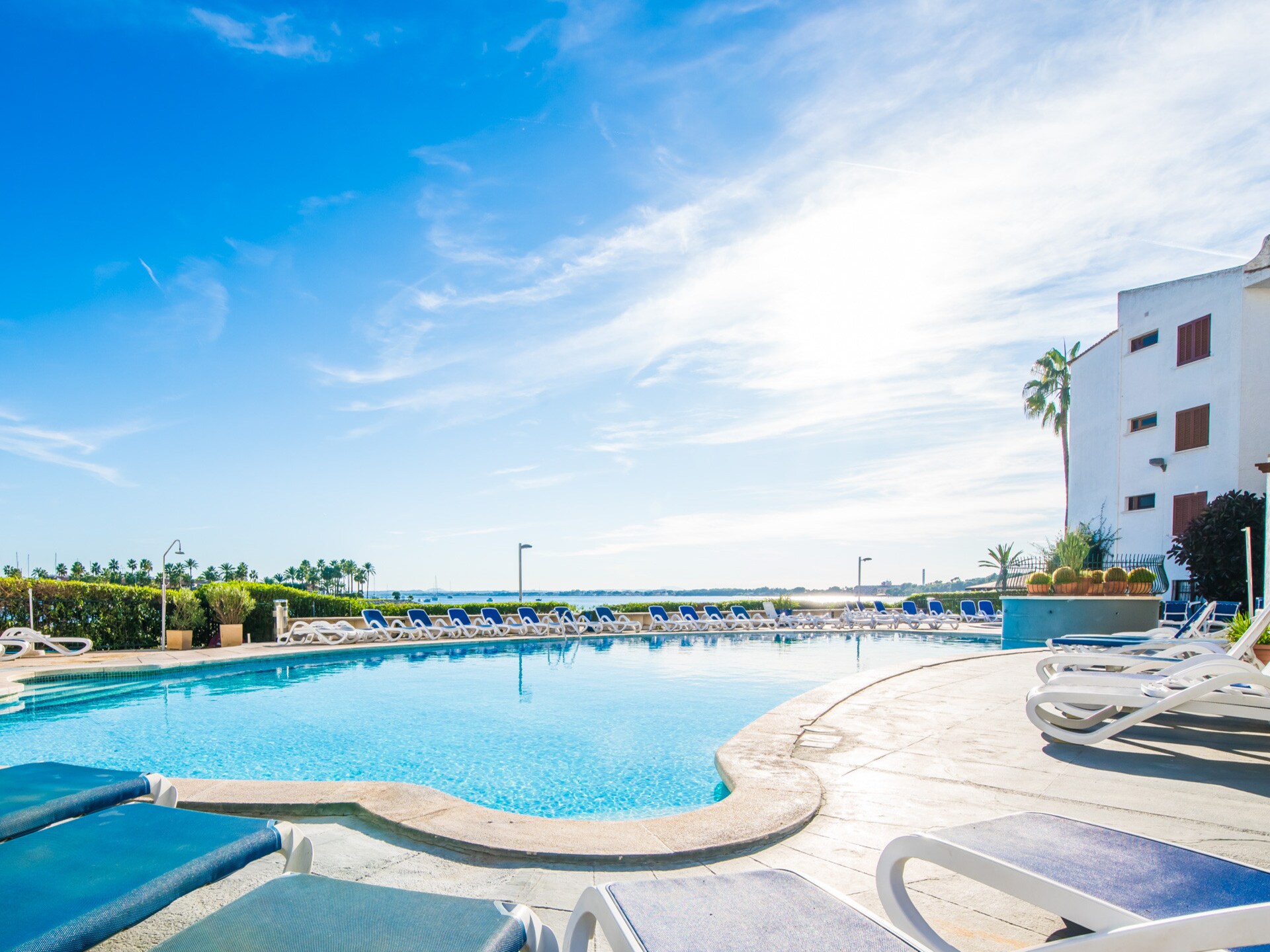 Appartement aan zee in Alcúdia met zwembad, 30 meter van het strand - foto 14