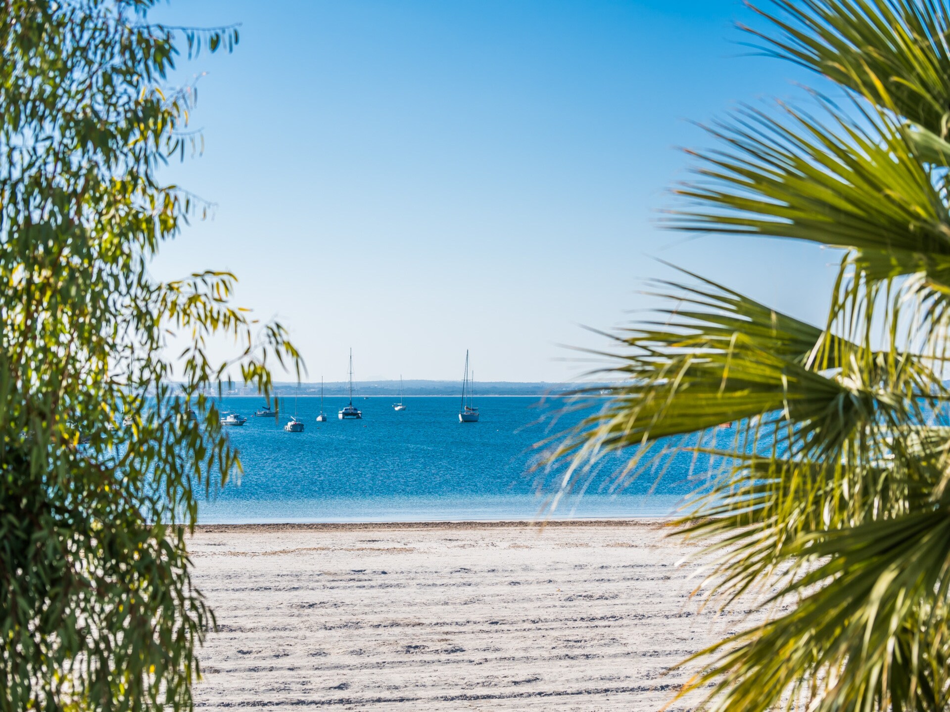 Appartement aan zee in Alcúdia met zwembad, 30 meter van het strand - foto 29
