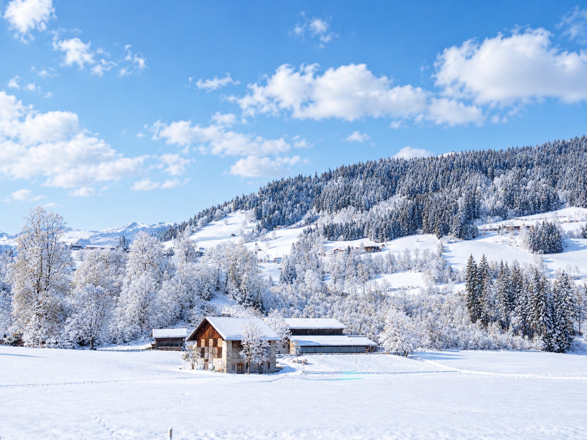Aan de piste: Ruim penthouse voor 8 personen in Jochberg, Tirol - foto 7