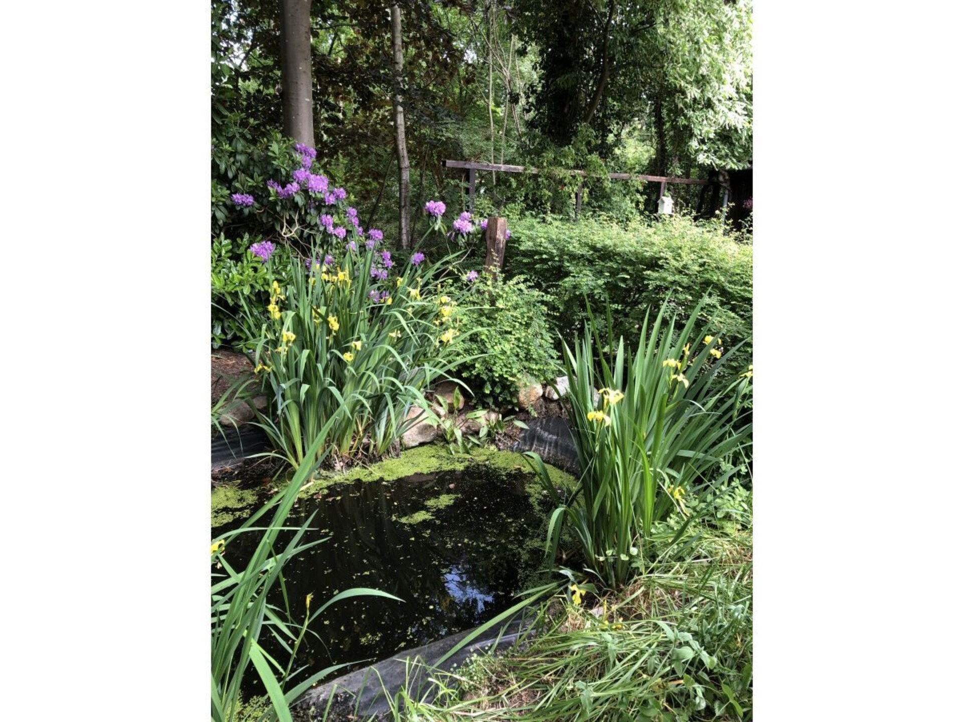 Moorhäuschen in Grasberg: Creatieve oase voor 4 personen met grote tuin - foto 6