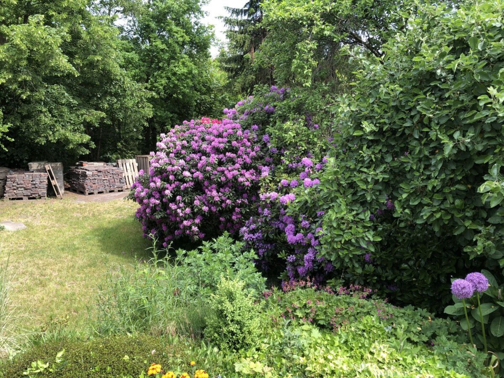 Moorhäuschen in Grasberg: Creatieve oase voor 4 personen met grote tuin - foto 8