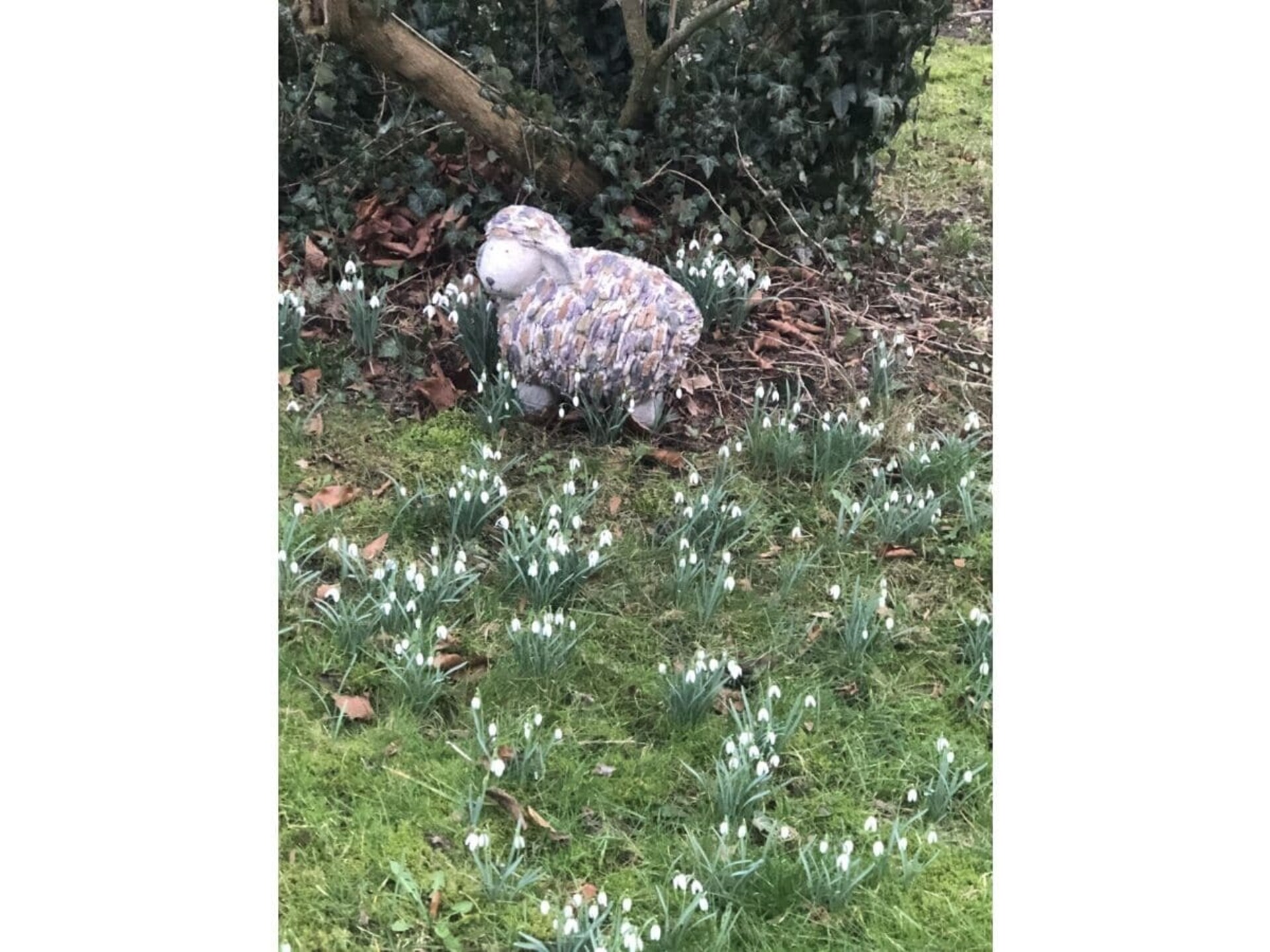 Moorhäuschen in Grasberg: Creatieve oase voor 4 personen met grote tuin - foto 26