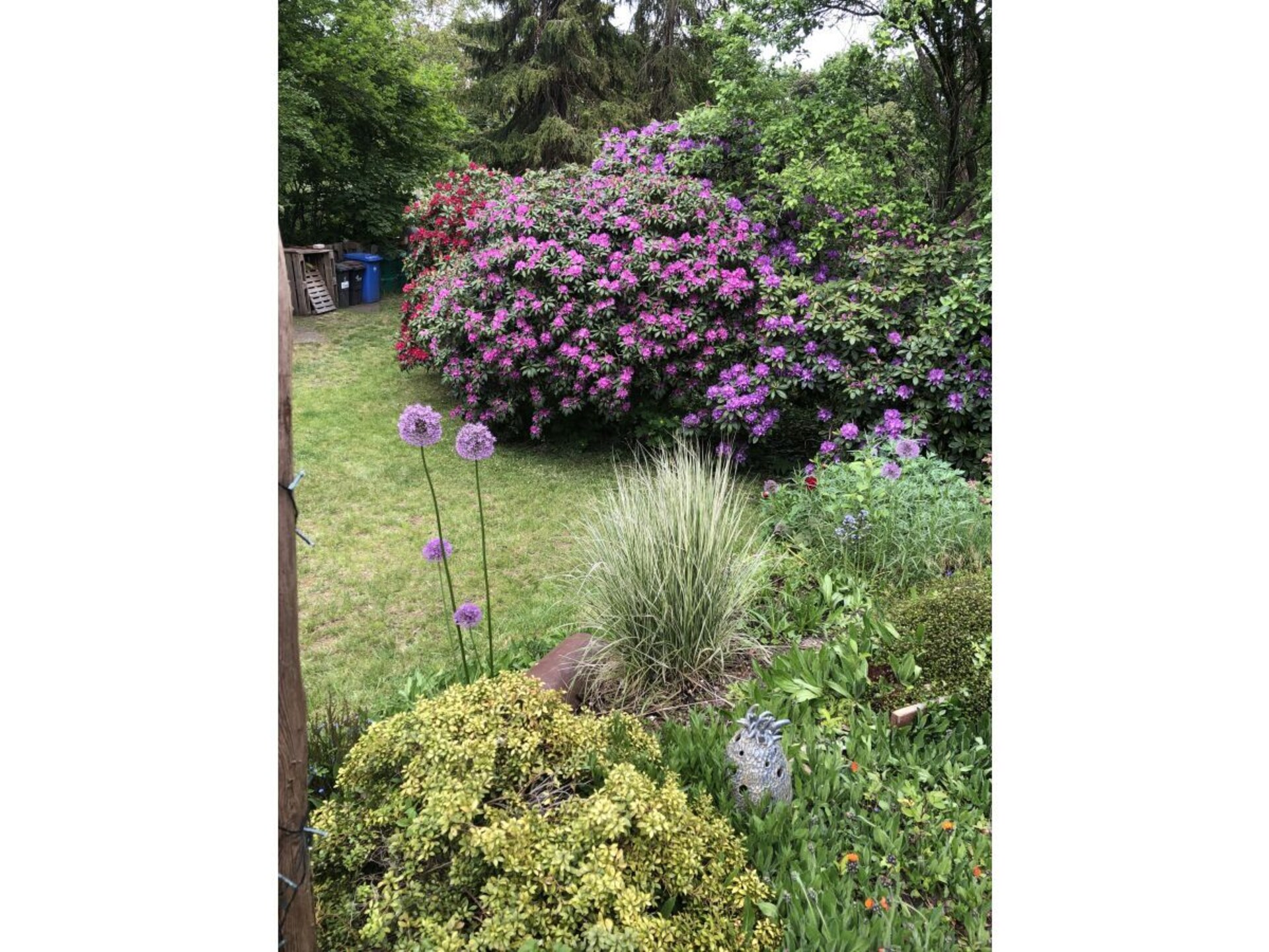 Moorhäuschen in Grasberg: Creatieve oase voor 4 personen met grote tuin - foto 32