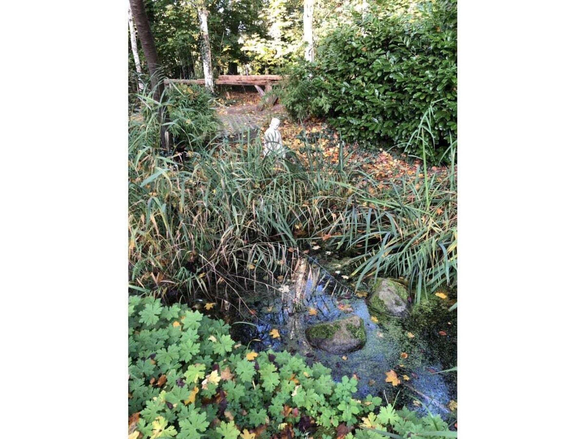 Moorhäuschen in Grasberg: Creatieve oase voor 4 personen met grote tuin - foto 33