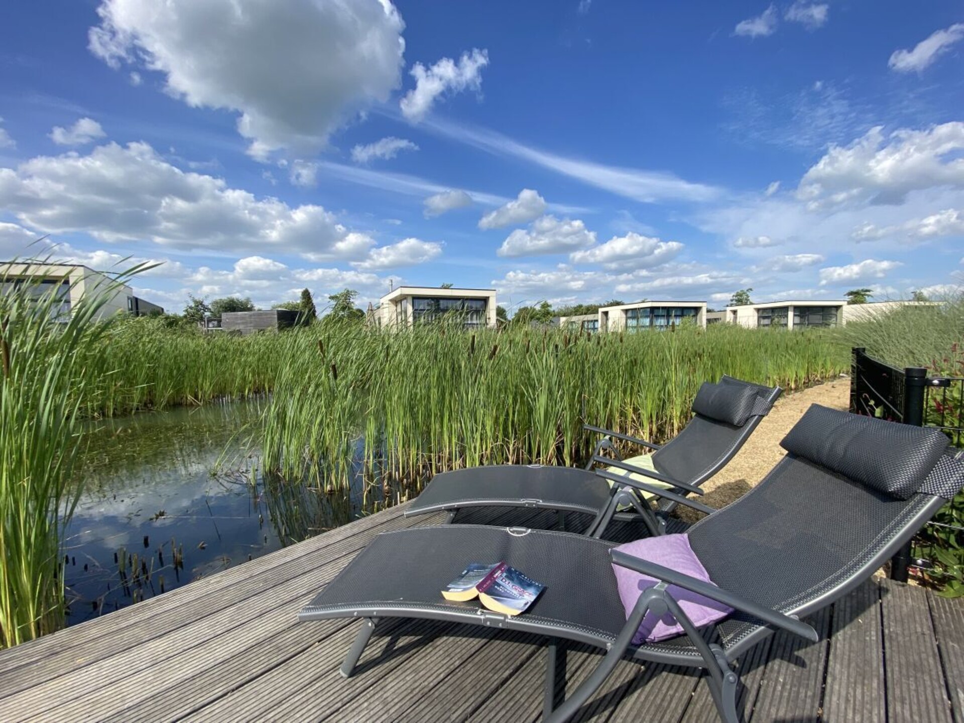 Modern waterchalet met privésteiger in Olburgen – ideaal voor gezinnen en hondenliefhebbers - foto 5