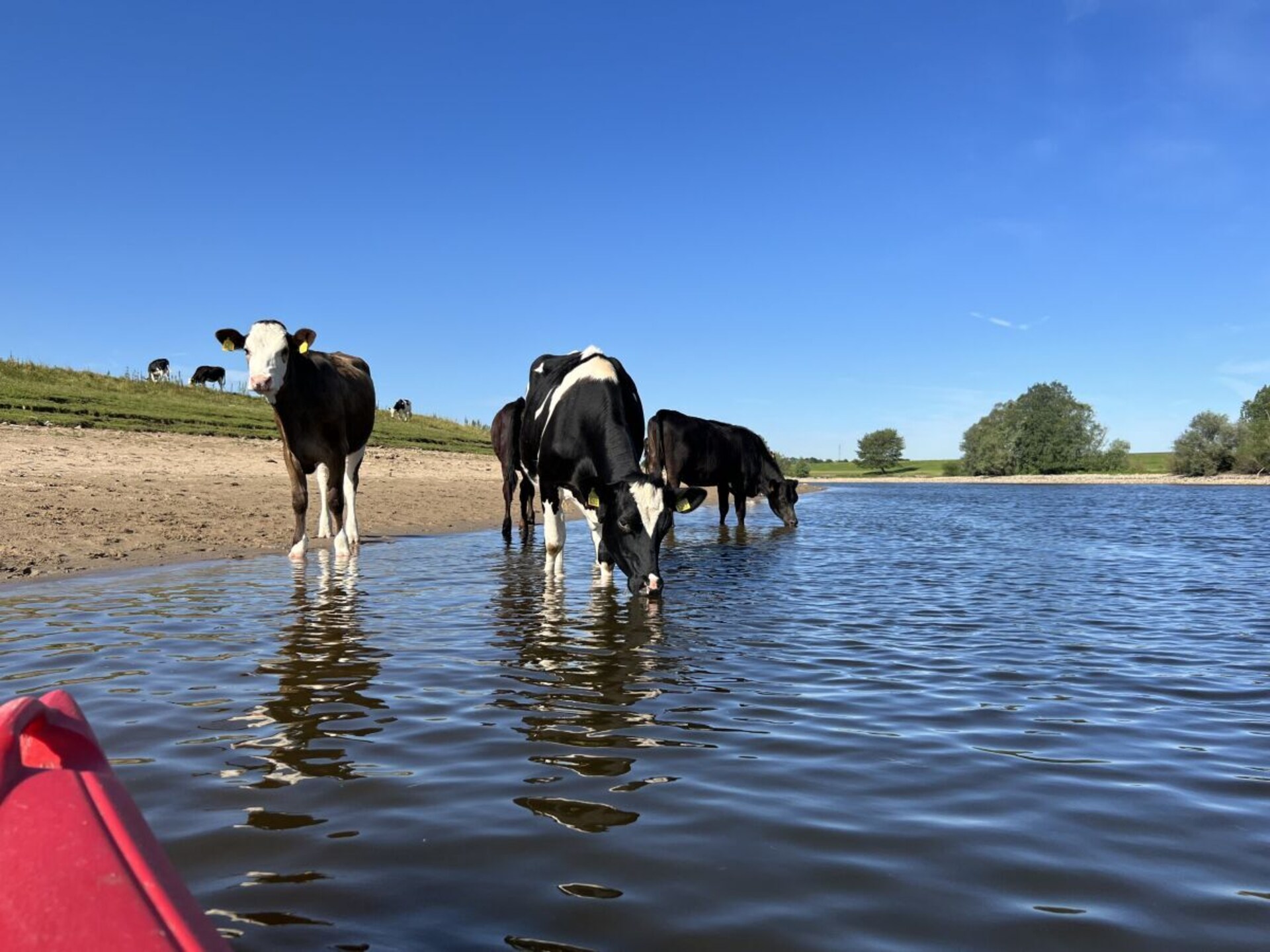 Modern waterchalet met privésteiger in Olburgen – ideaal voor gezinnen en hondenliefhebbers - foto 23