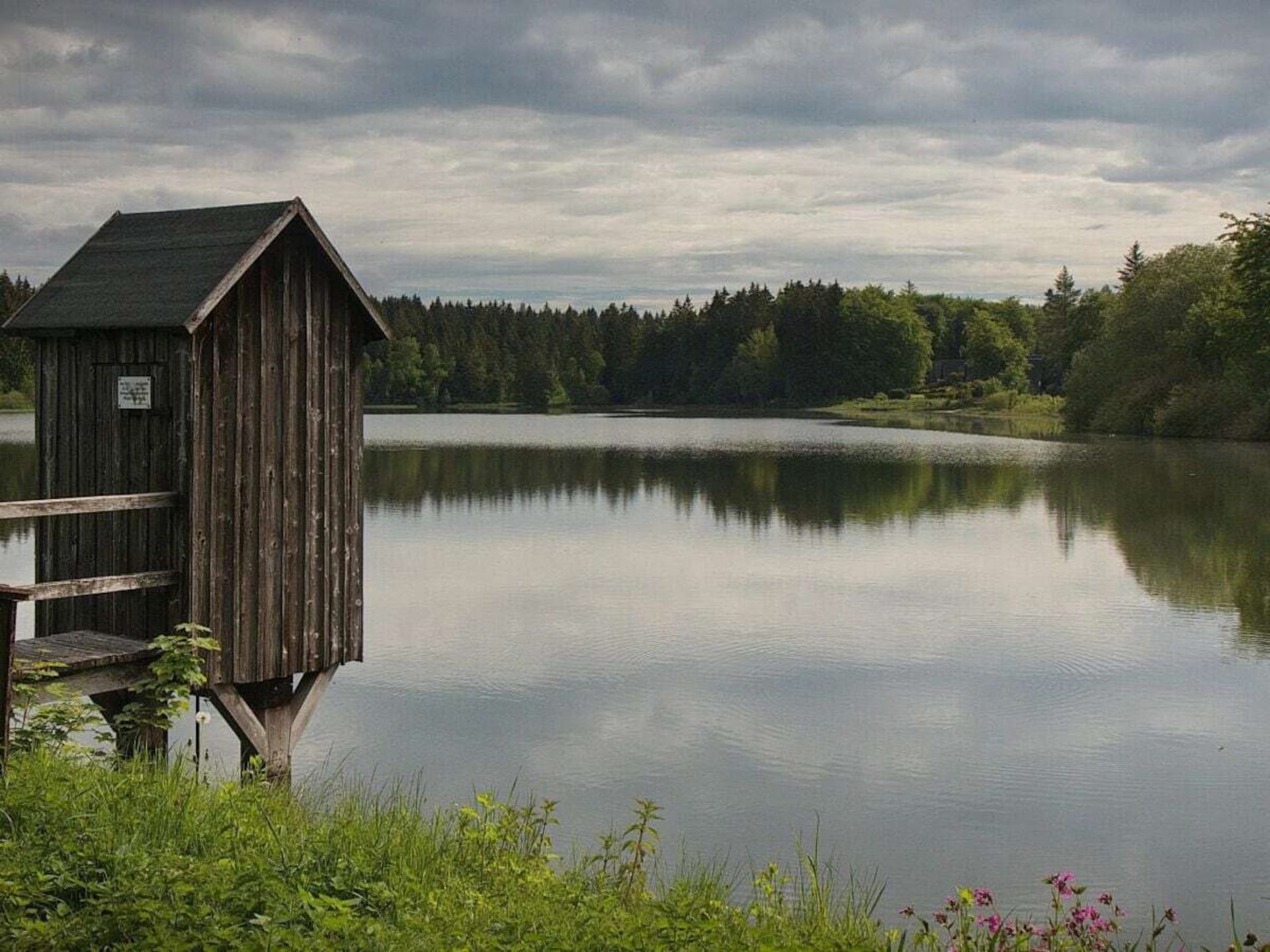 Scandinavisch blokhut aan het water in Clausthal-Zellerfeld, Harz - foto 37