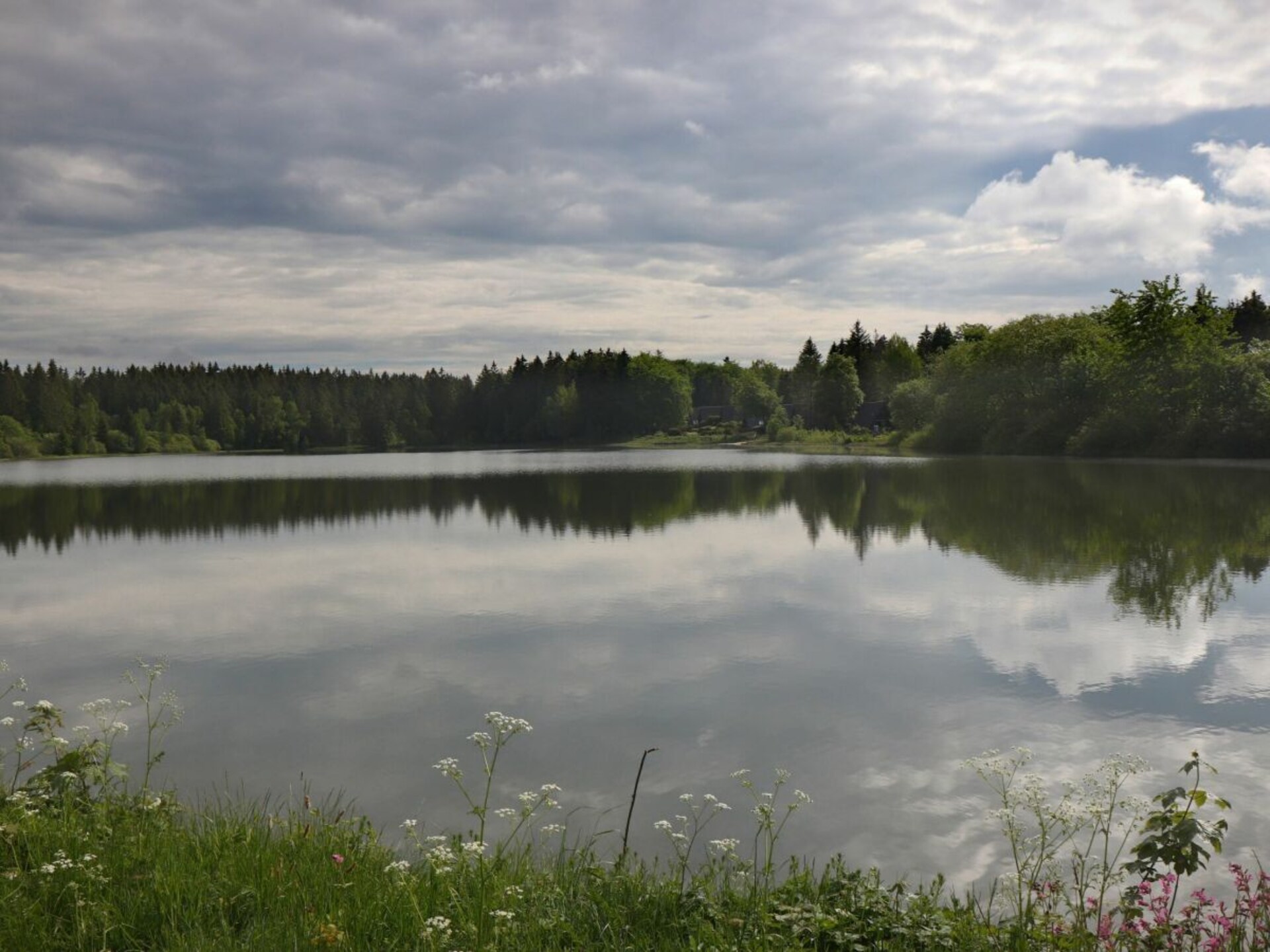 Scandinavisch blokhut aan het water in Clausthal-Zellerfeld, Harz - foto 38