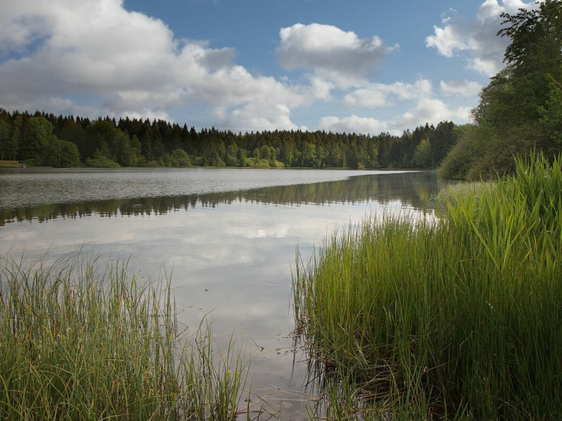 Scandinavisch blokhut aan het water in Clausthal-Zellerfeld, Harz - foto 39