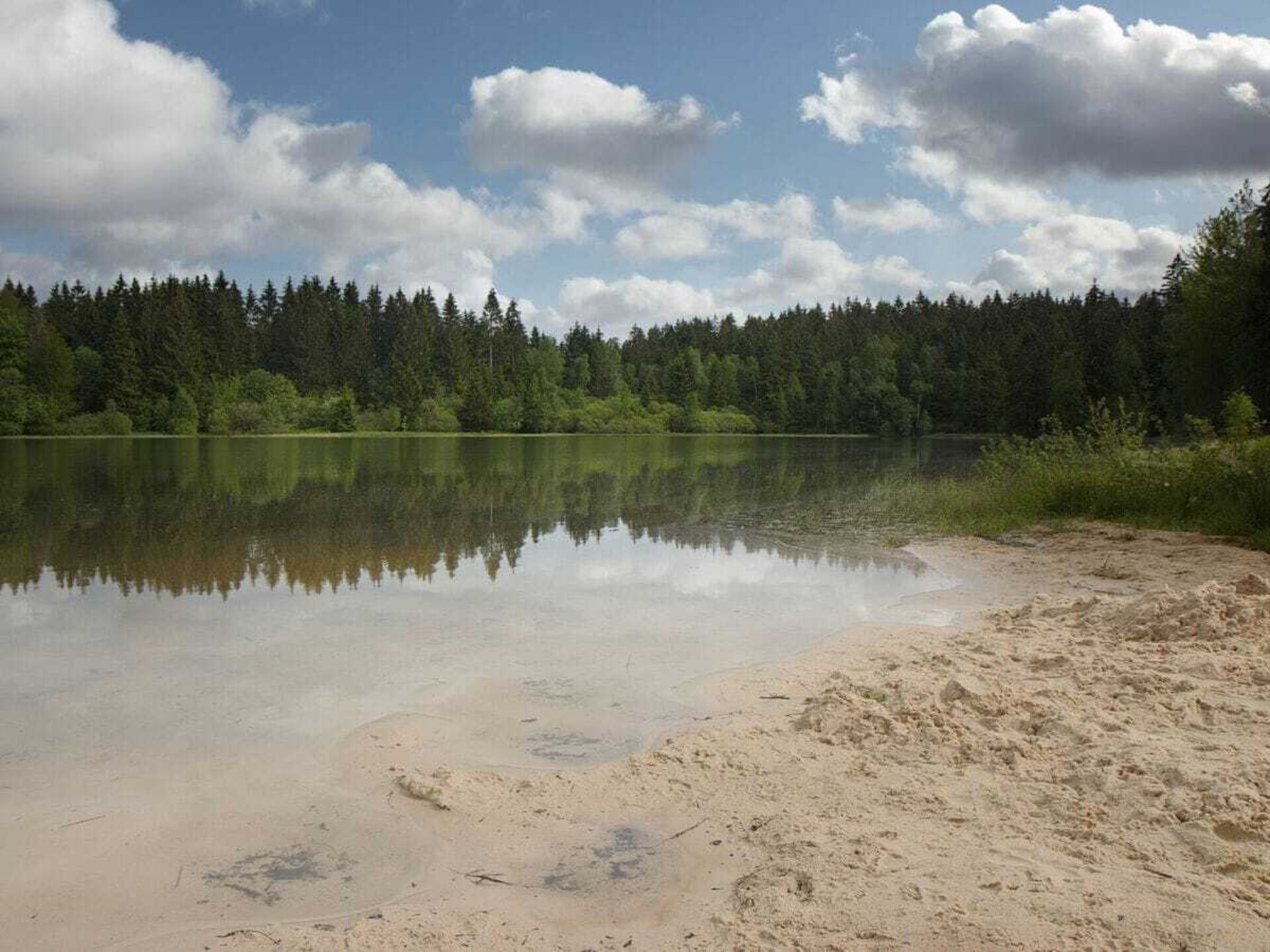 Scandinavisch blokhut aan het water in Clausthal-Zellerfeld, Harz - foto 40