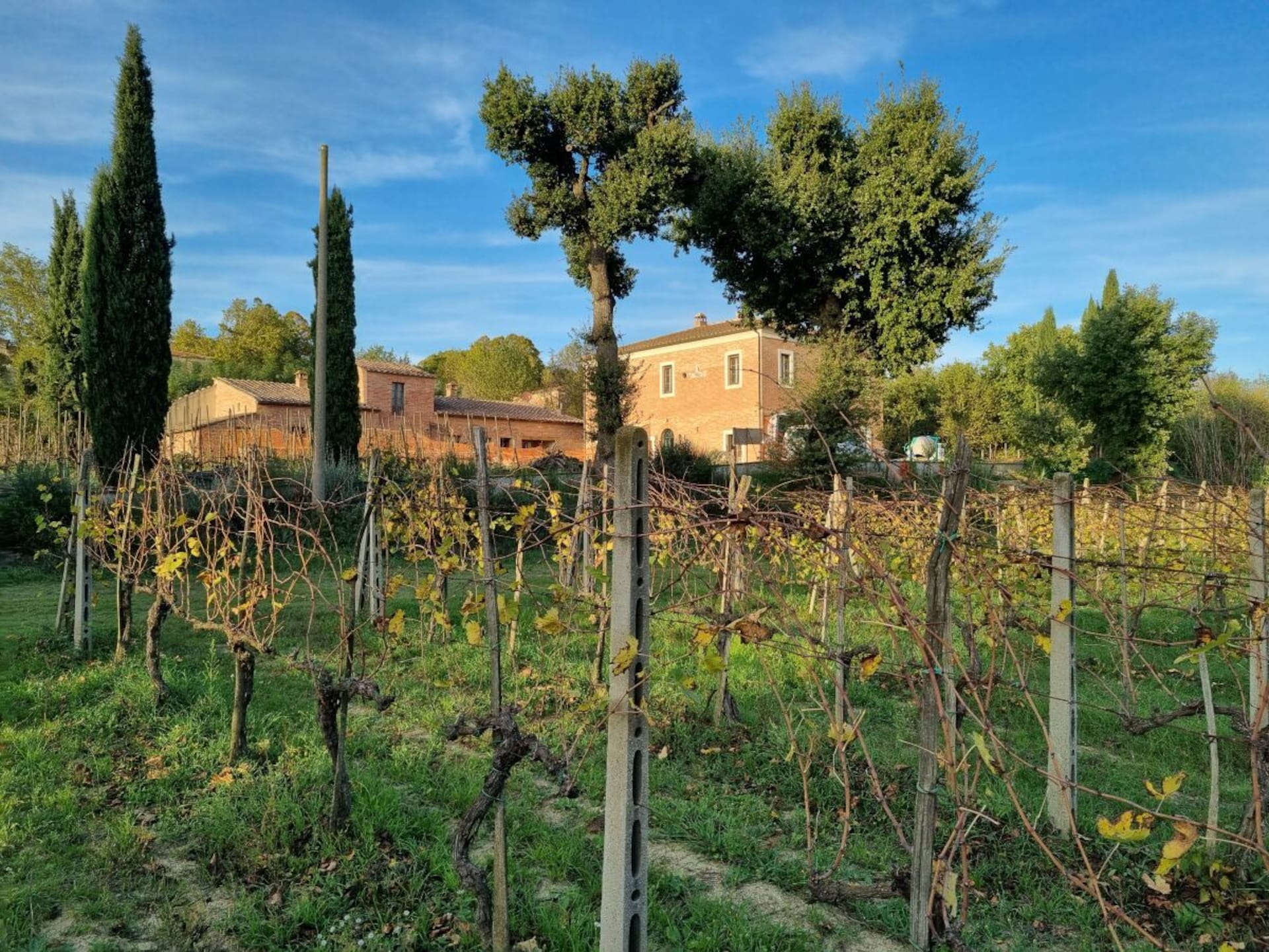 Op 1,0 km van het centrum: Sfeervol vakantiehuis in Abbadia di Montepulciano - foto 3