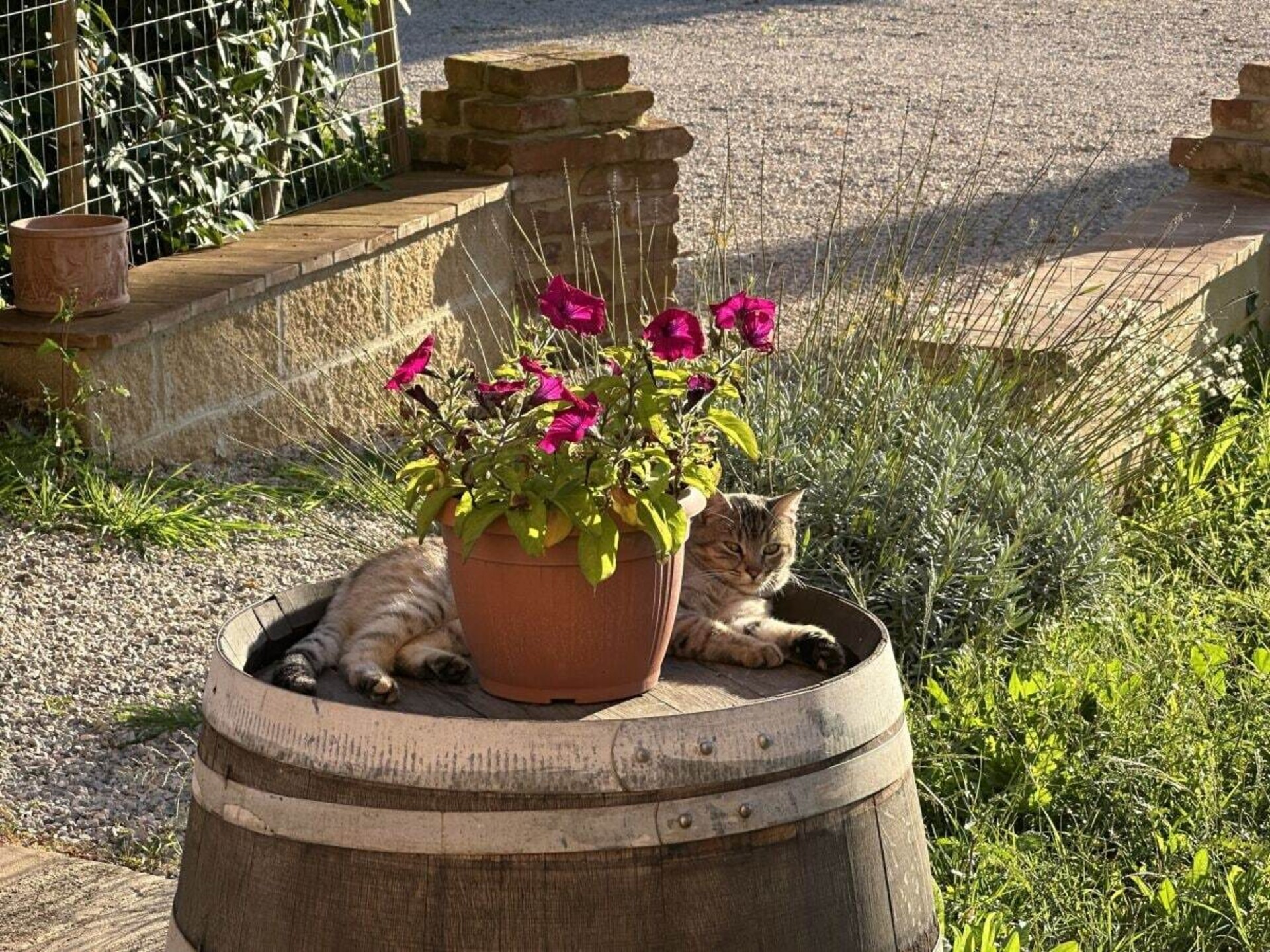 Op 1,0 km van het centrum: Sfeervol vakantiehuis in Abbadia di Montepulciano - foto 4