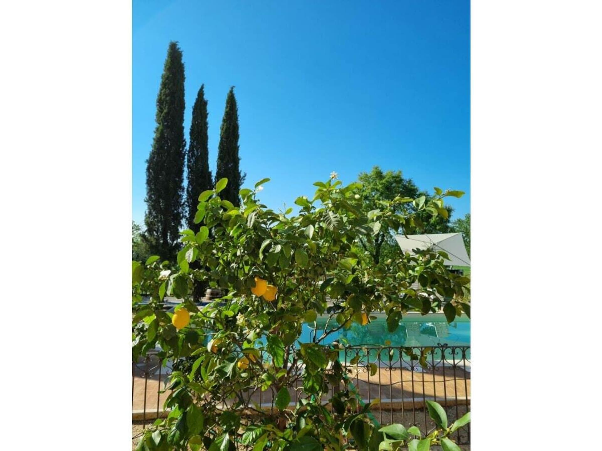 Op 1,0 km van het centrum: Sfeervol vakantiehuis in Abbadia di Montepulciano - foto 7