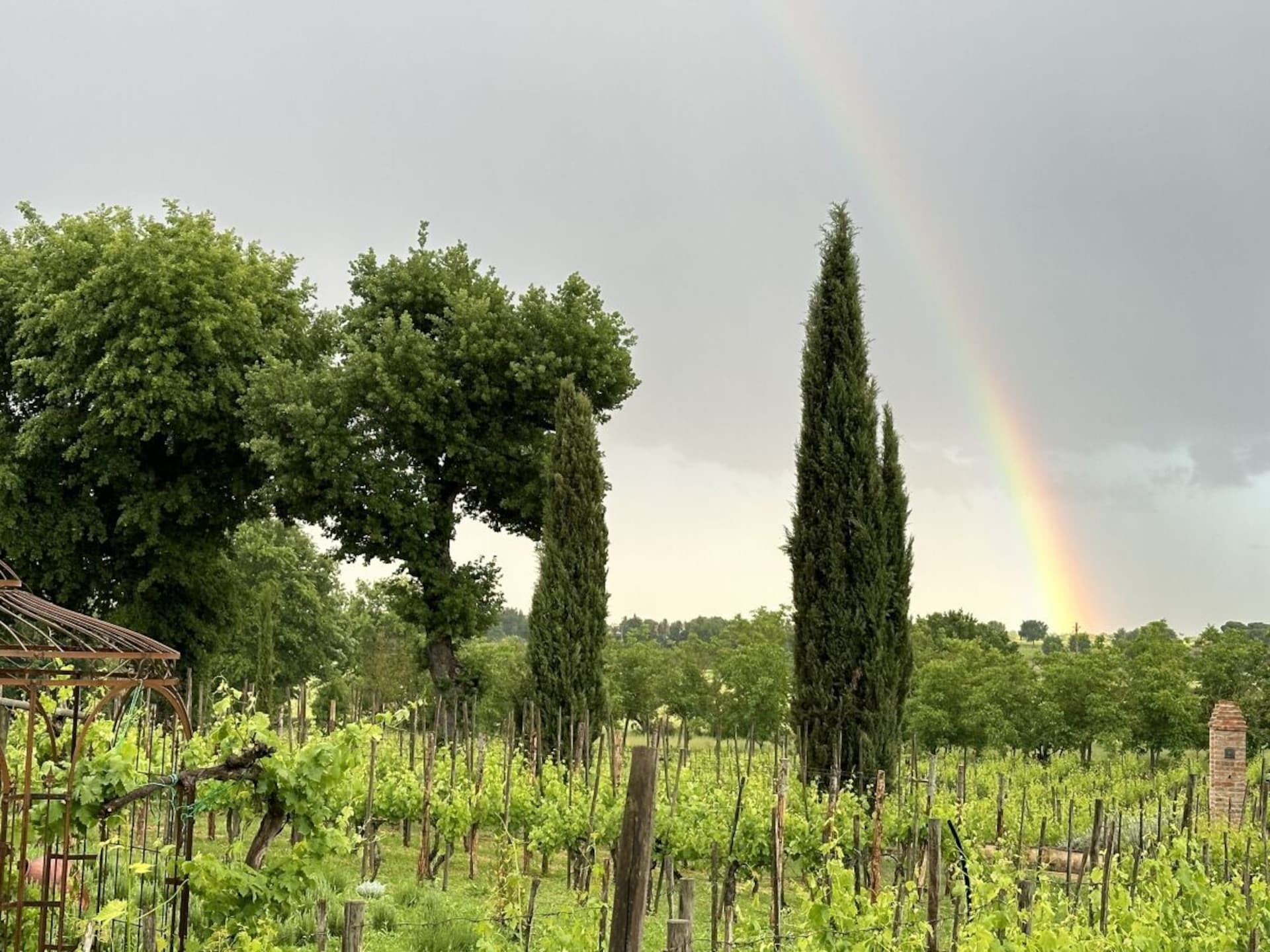Op 1,0 km van het centrum: Sfeervol vakantiehuis in Abbadia di Montepulciano - foto 13