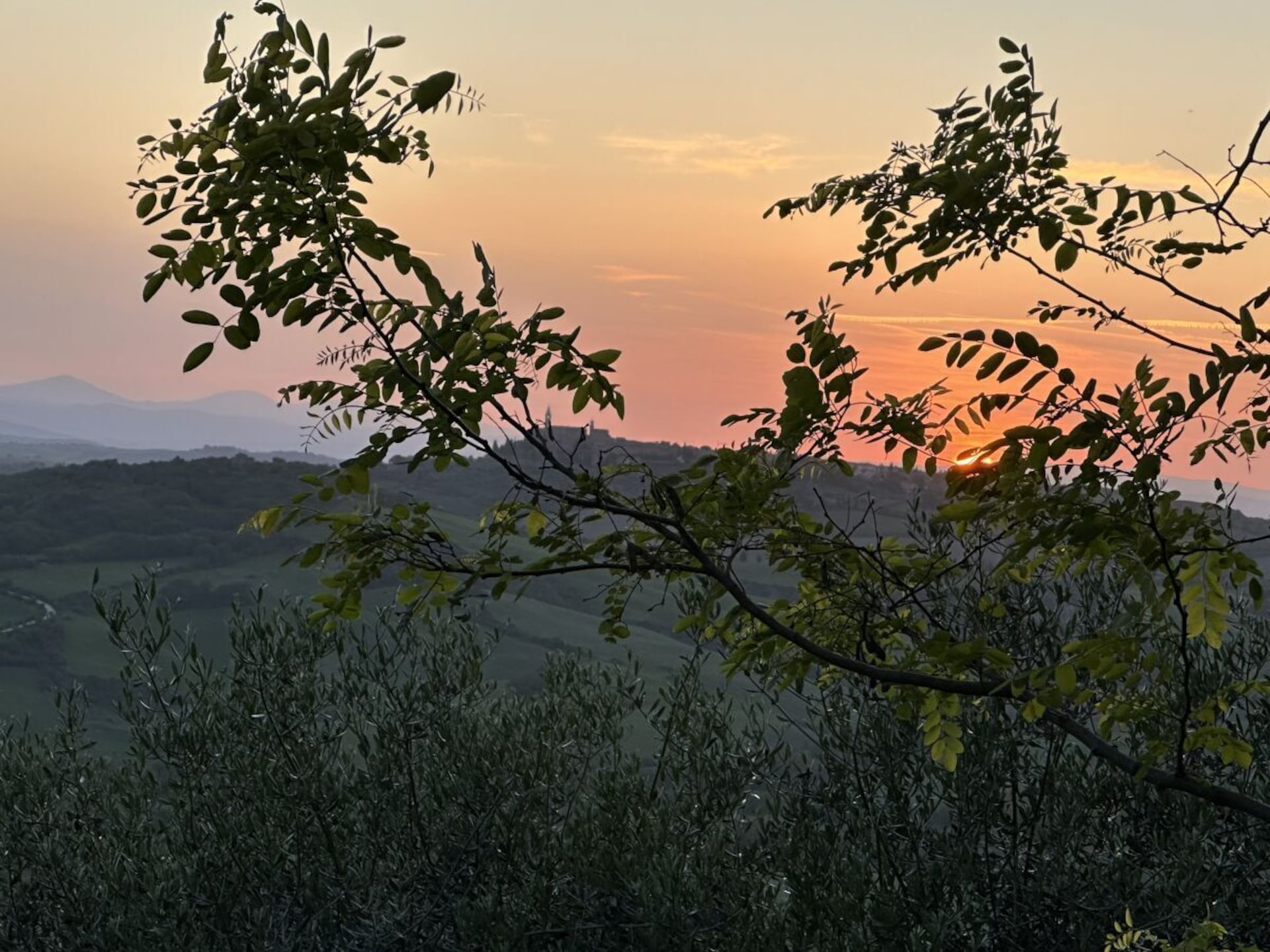 Op 1,0 km van het centrum: Sfeervol vakantiehuis in Abbadia di Montepulciano - foto 20