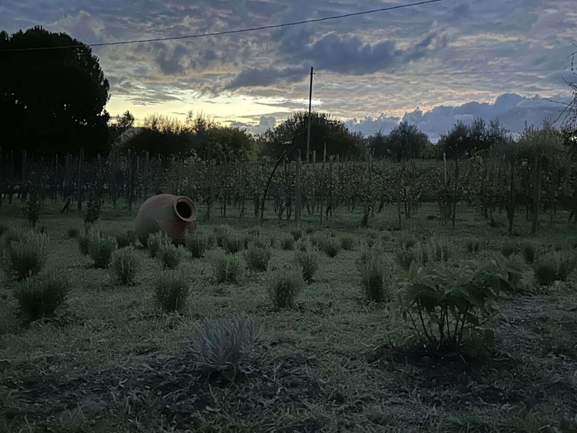 Op 1,0 km van het centrum: Sfeervol vakantiehuis in Abbadia di Montepulciano - foto 25