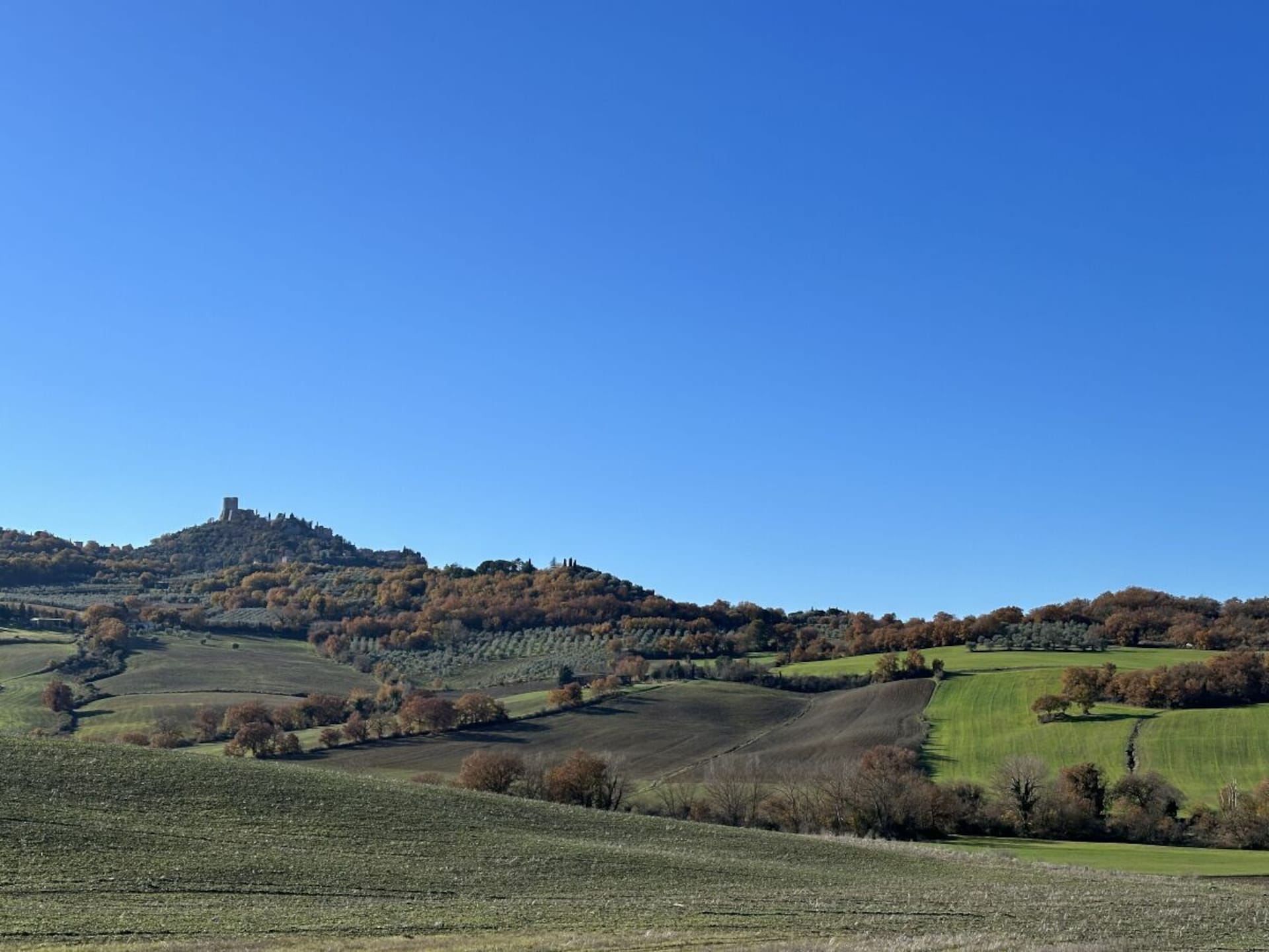 Op 1,0 km van het centrum: Sfeervol vakantiehuis in Abbadia di Montepulciano - foto 34