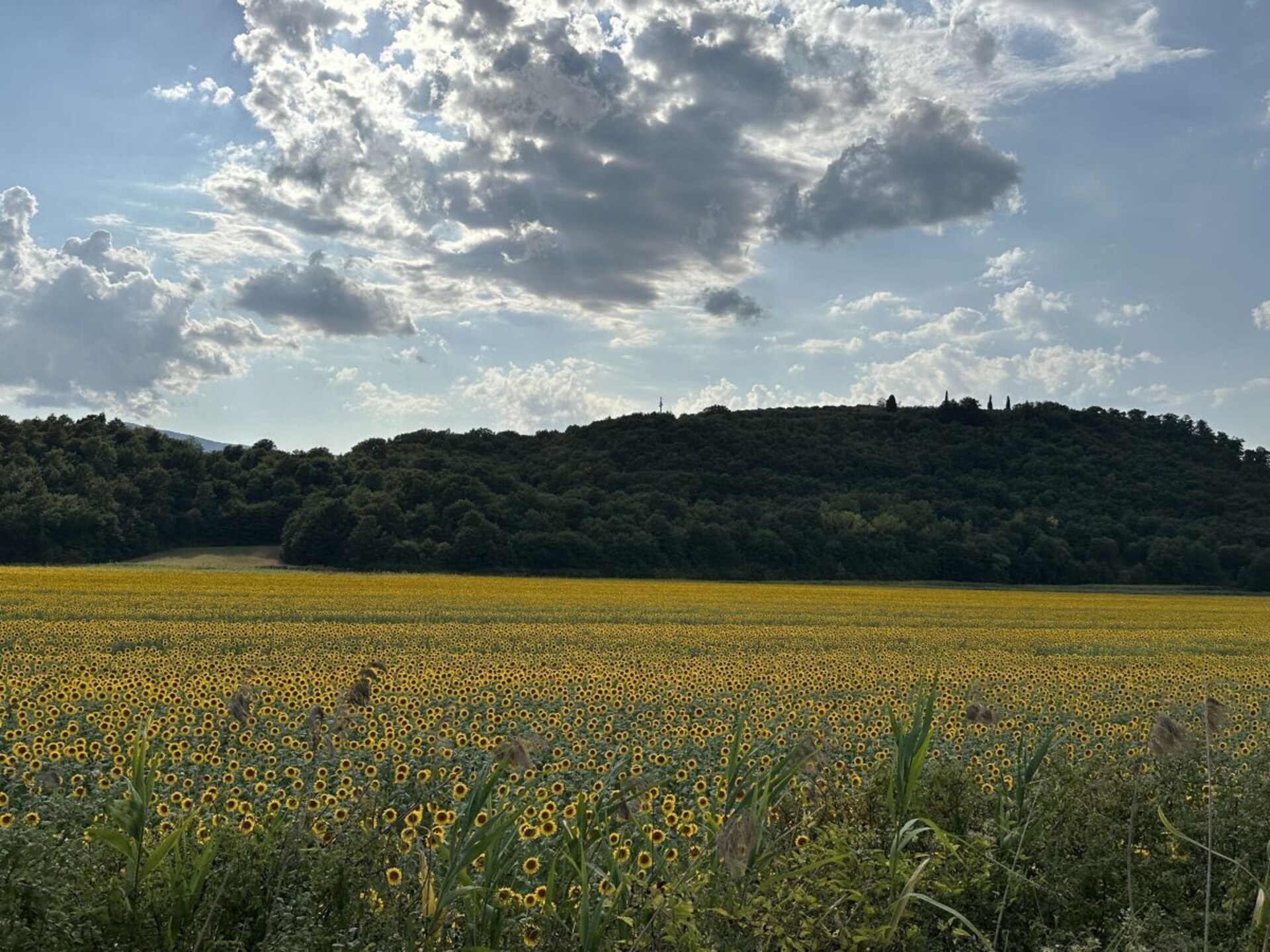 Op 1,0 km van het centrum: Sfeervol vakantiehuis in Abbadia di Montepulciano - foto 35