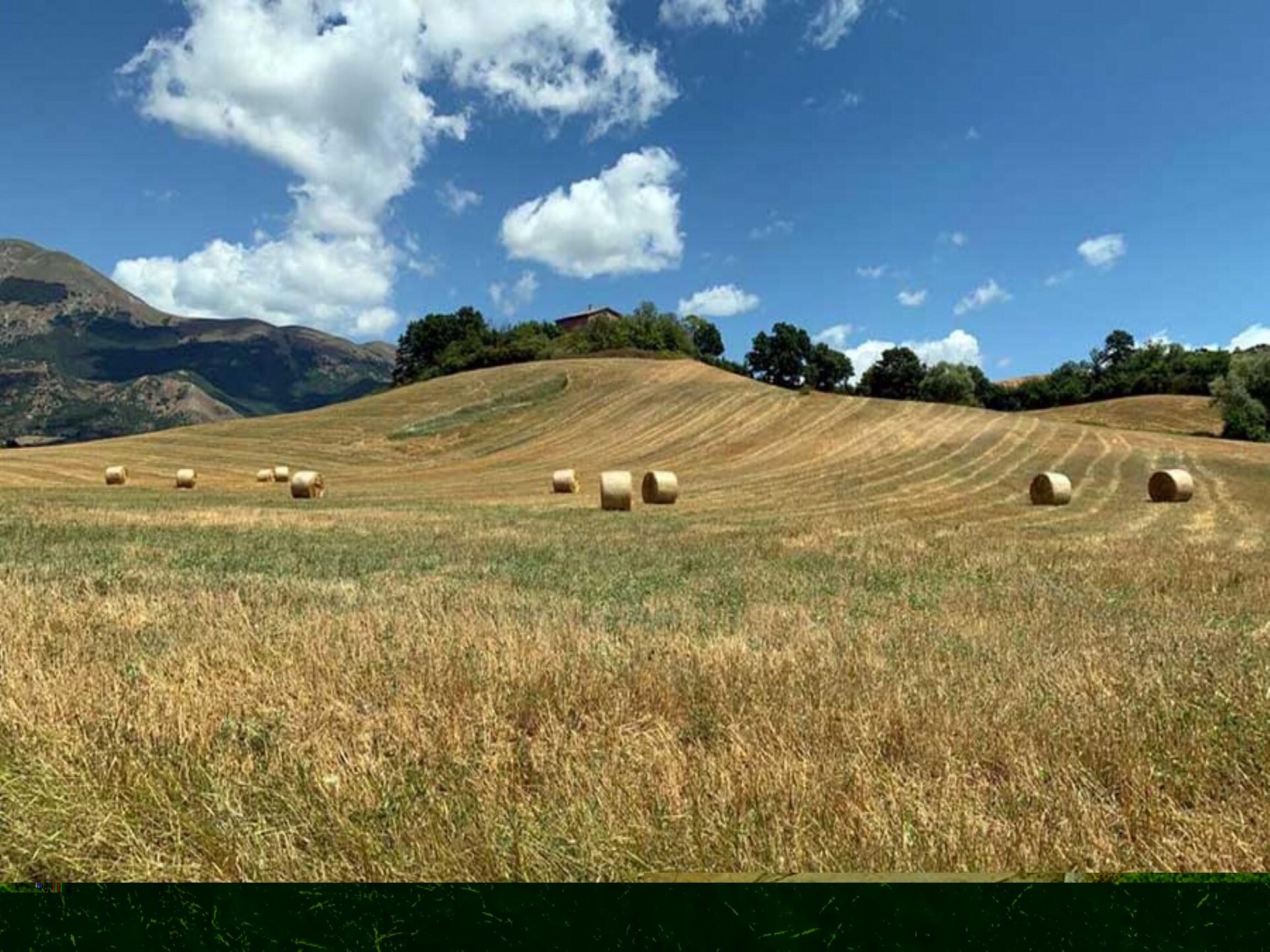 14-persoons vakantiehuis met privézwembad in Castiglion Fiorentino - foto 37