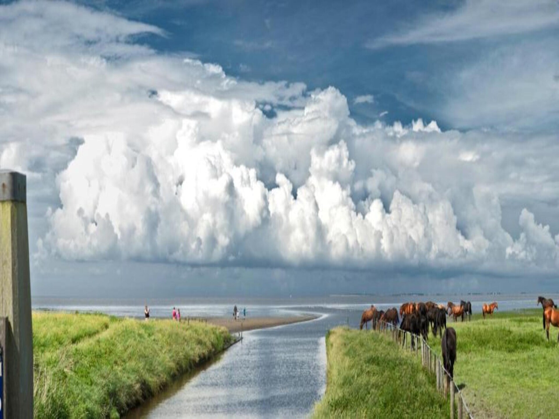 Knus chalet in Friesland nabij Waddenzee met zwembad en tennisbaan - foto 36