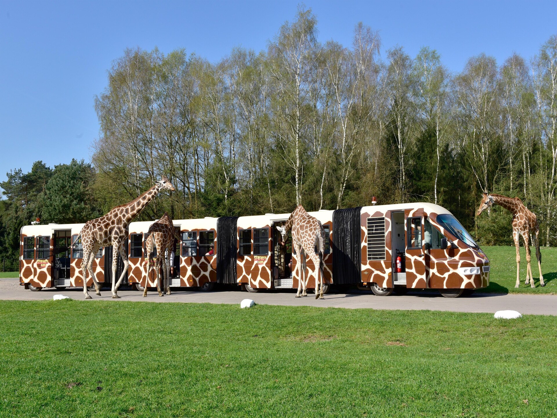Tentlodge voor 2 in de Lüneburger Heide bij Hodenhagen - foto 24
