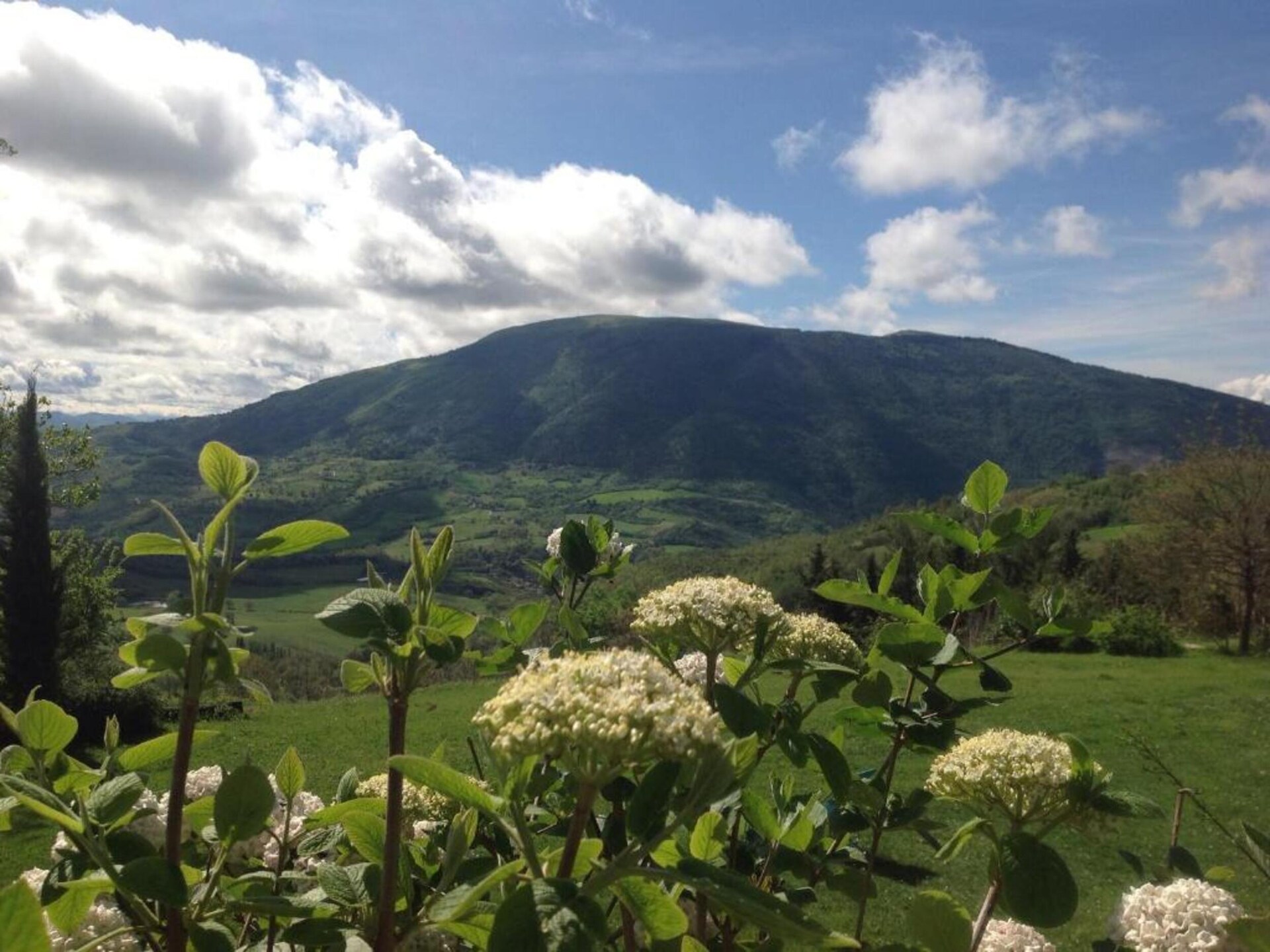 Grootschalige villa in Umbrische bossen bij Assisi voor 25 personen - foto 33