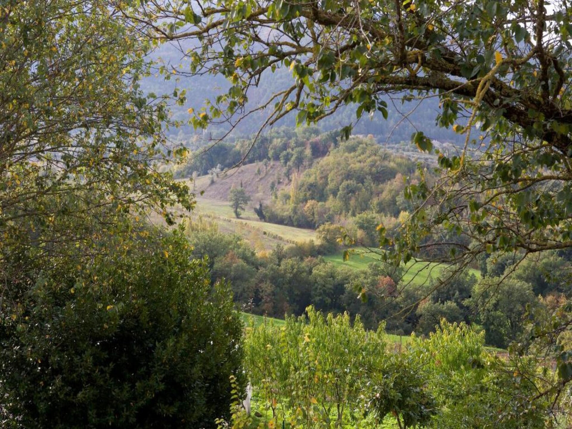 Grootschalige villa in Umbrische bossen bij Assisi voor 25 personen - foto 25