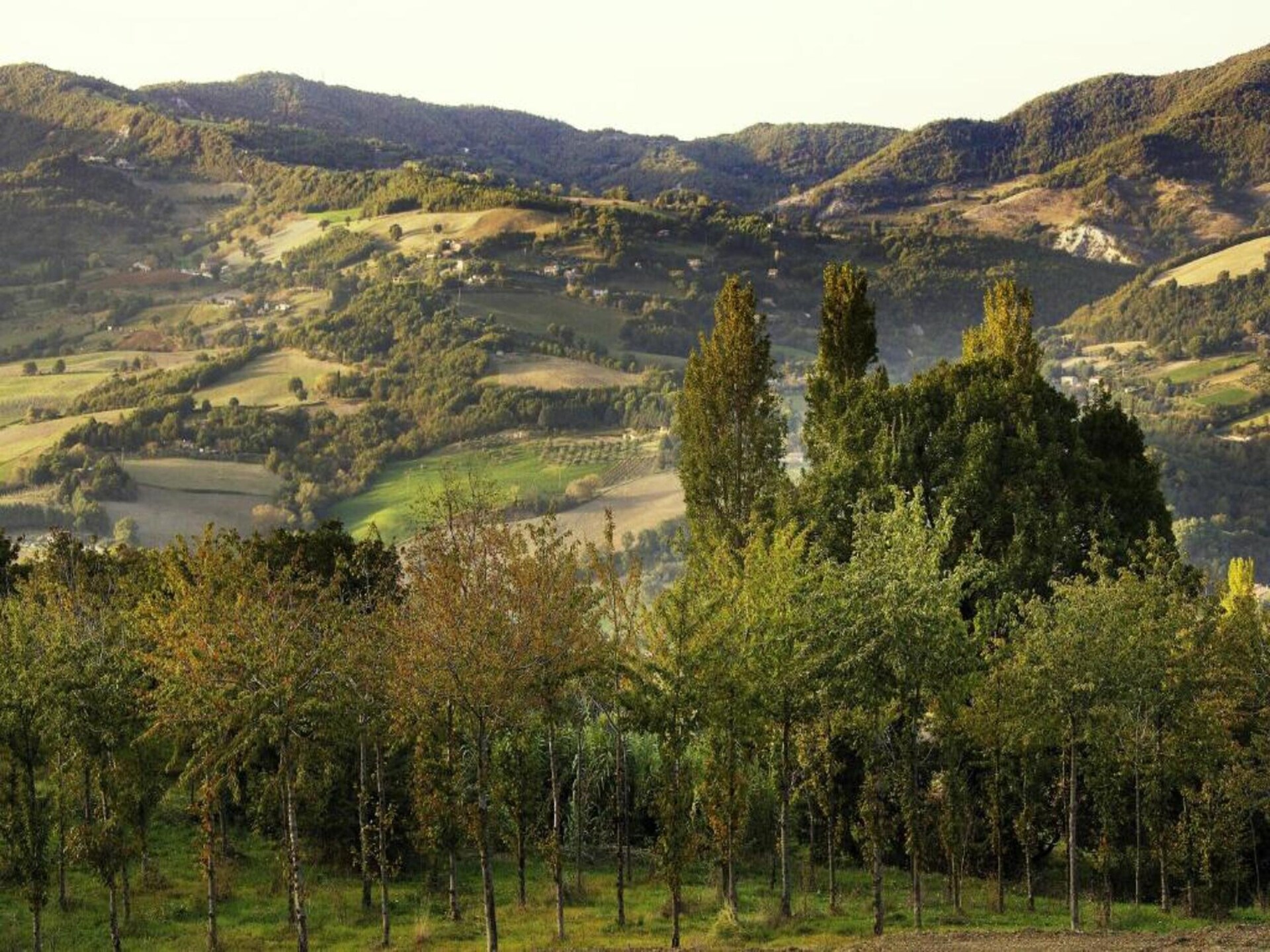 Grootschalige villa in Umbrische bossen bij Assisi voor 25 personen - foto 24