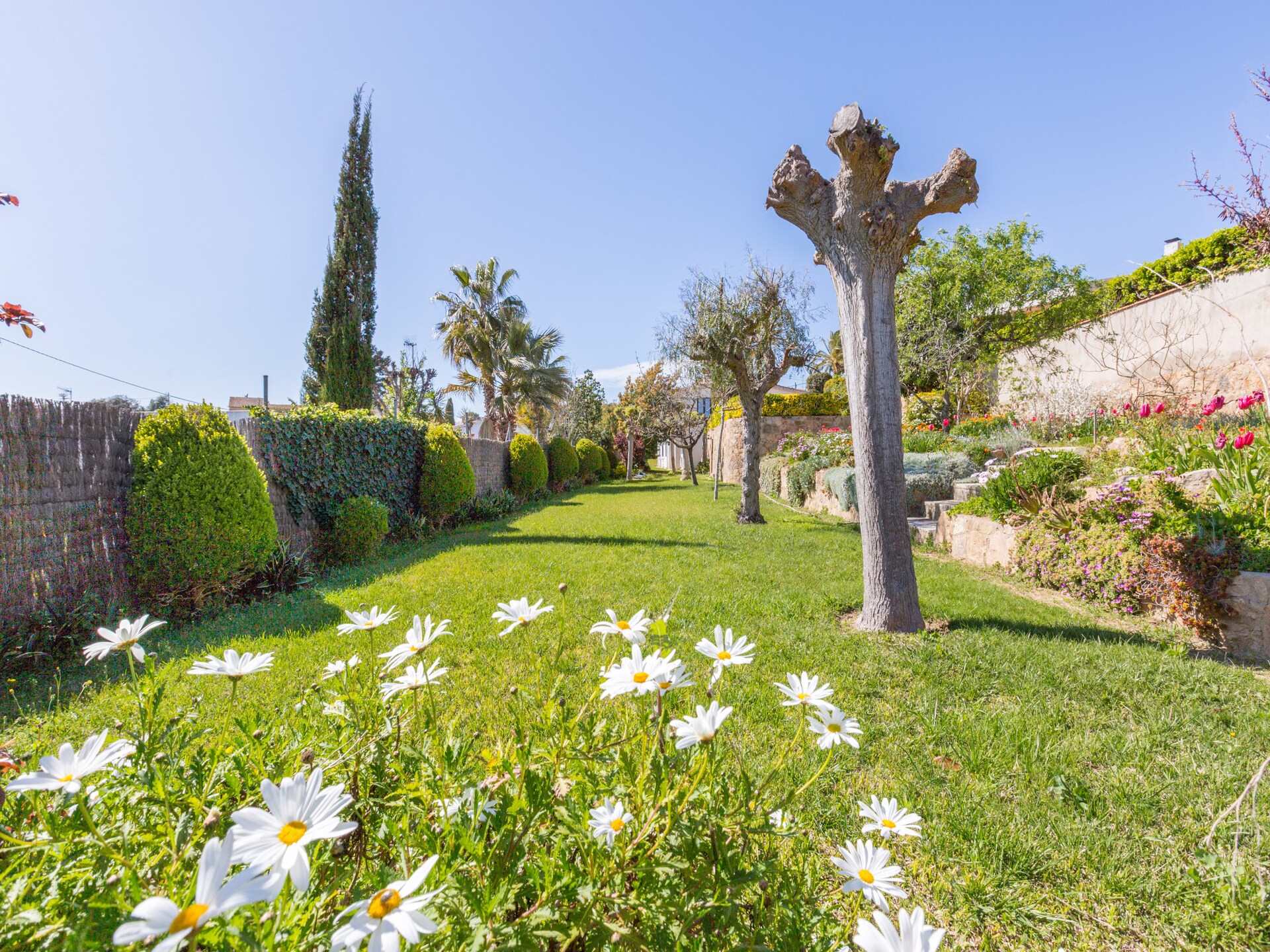 Zonovergoten villa met privézwembad aan de golfbaan in Blanes - foto 14