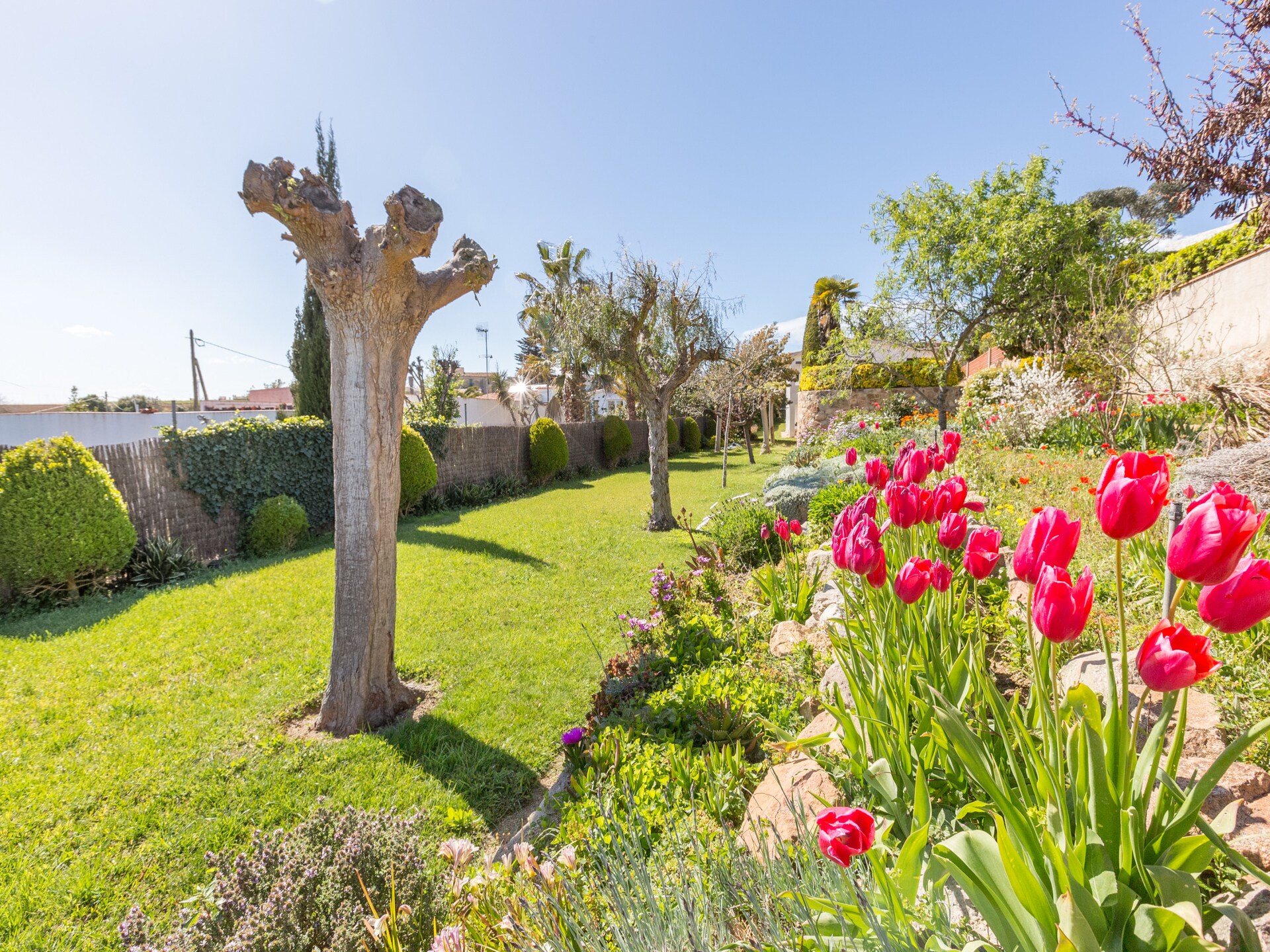Zonovergoten villa met privézwembad aan de golfbaan in Blanes - foto 15