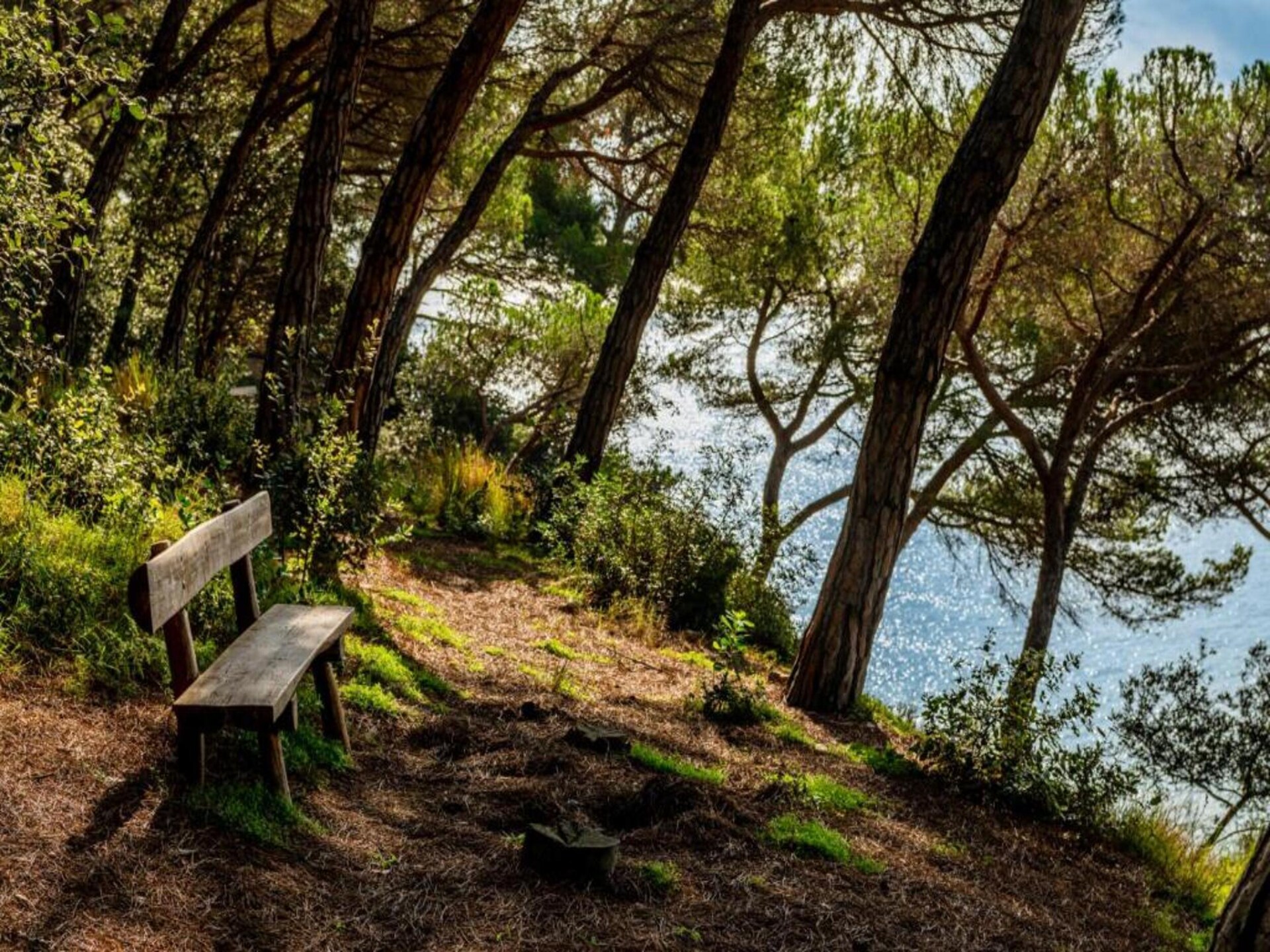 Villa Palmeras: Ruime villa met privézwembad en zeezicht bij Lloret de Mar - foto 35