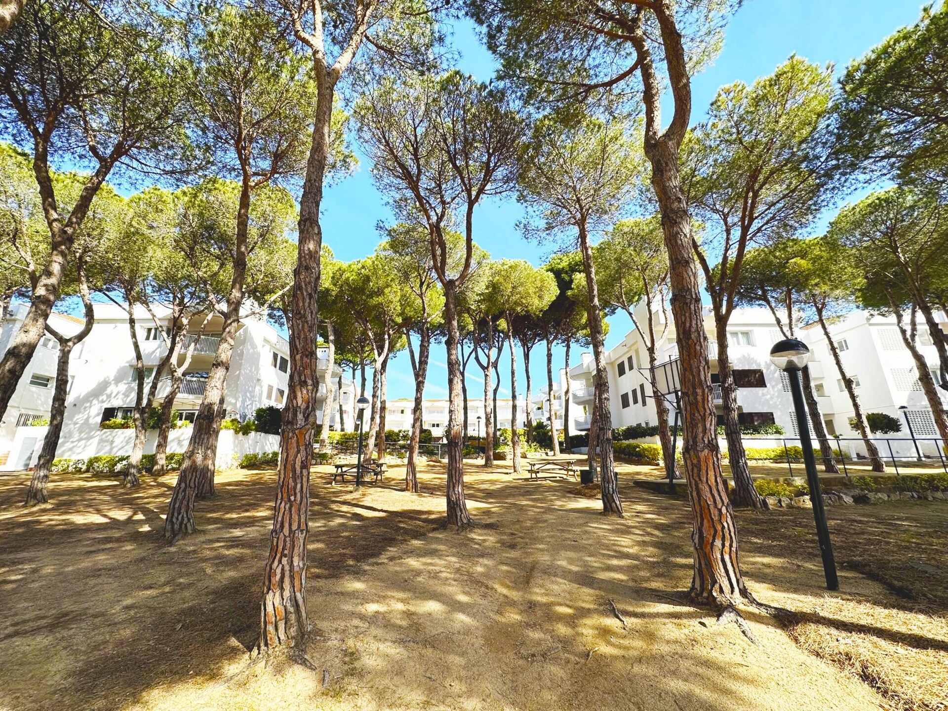 Licht appartement met privéterras en gemeenschappelijk zwembad nabij strand - foto 14