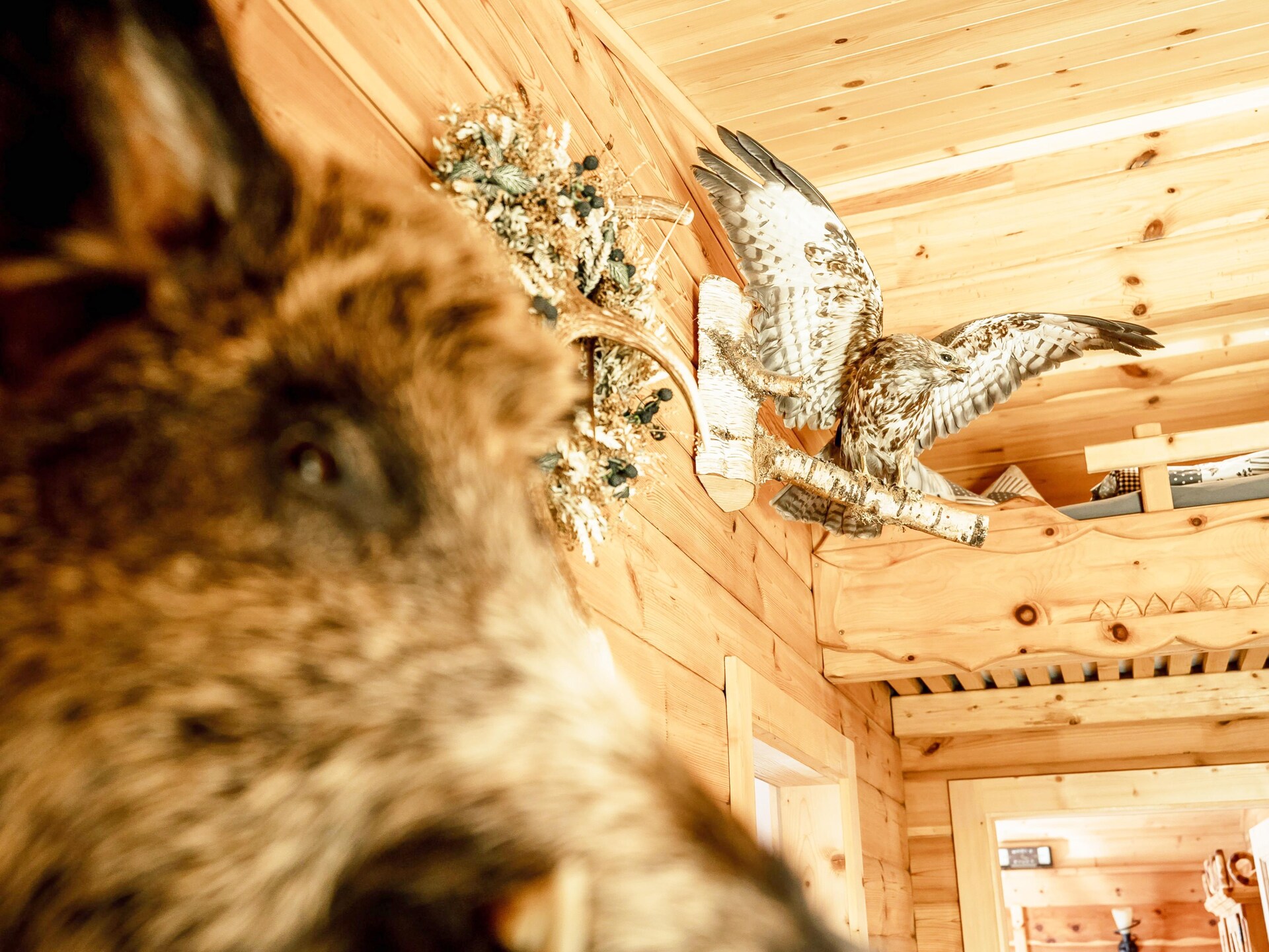 Rustieke vakantiehuis Edelweisshütte in Bramberg am Wildkogel - foto 27