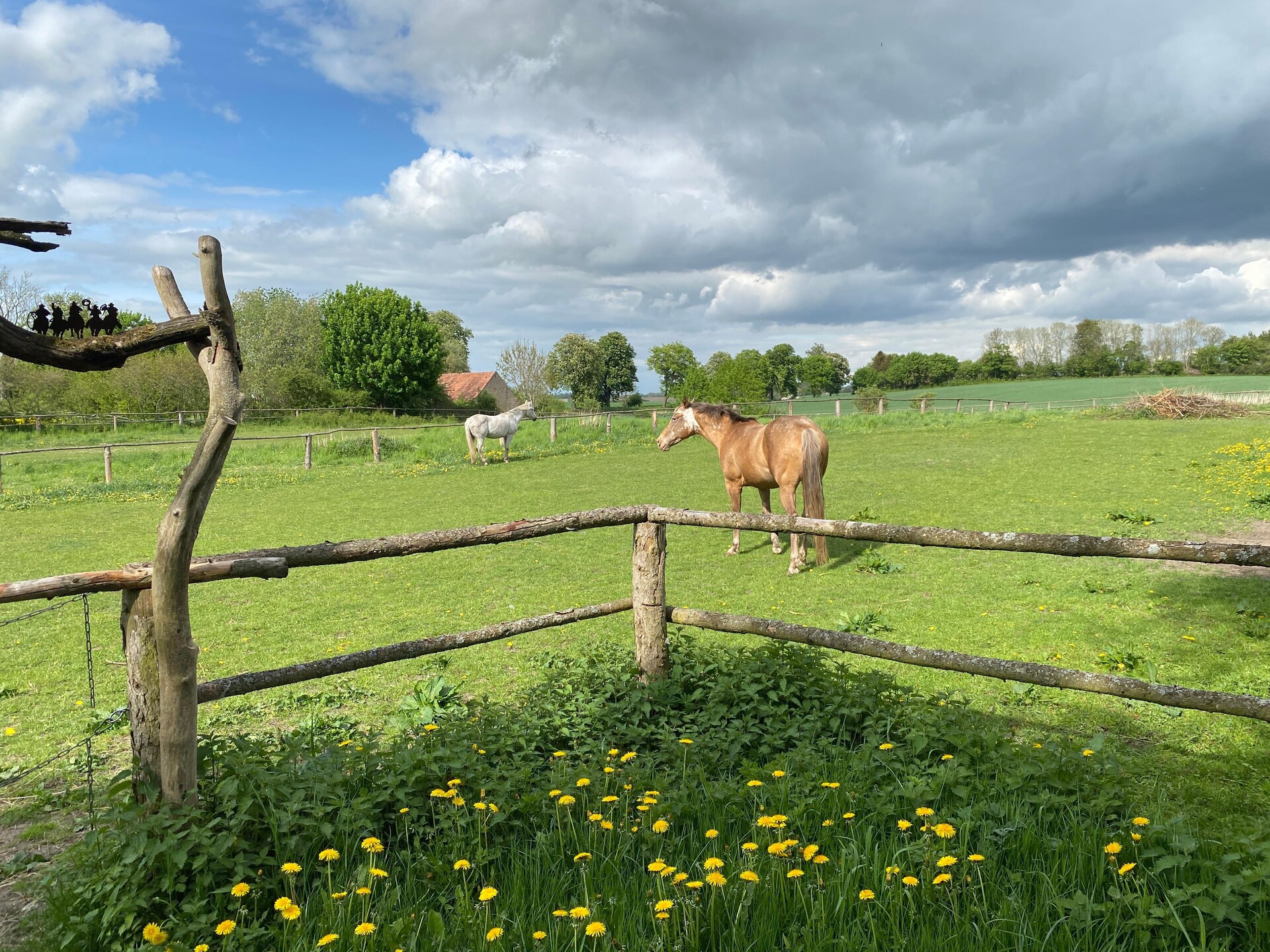 Knus landhuisappartement bij Neuklostersee met paardenstalling - foto 17