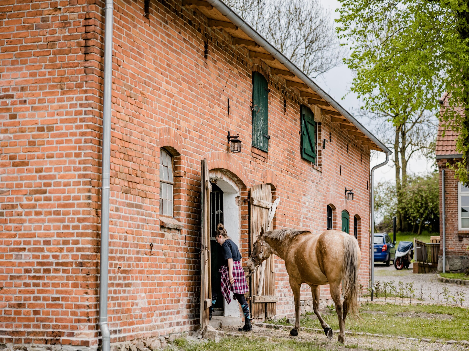 Knus landhuisappartement bij Neuklostersee met paardenstalling - foto 19