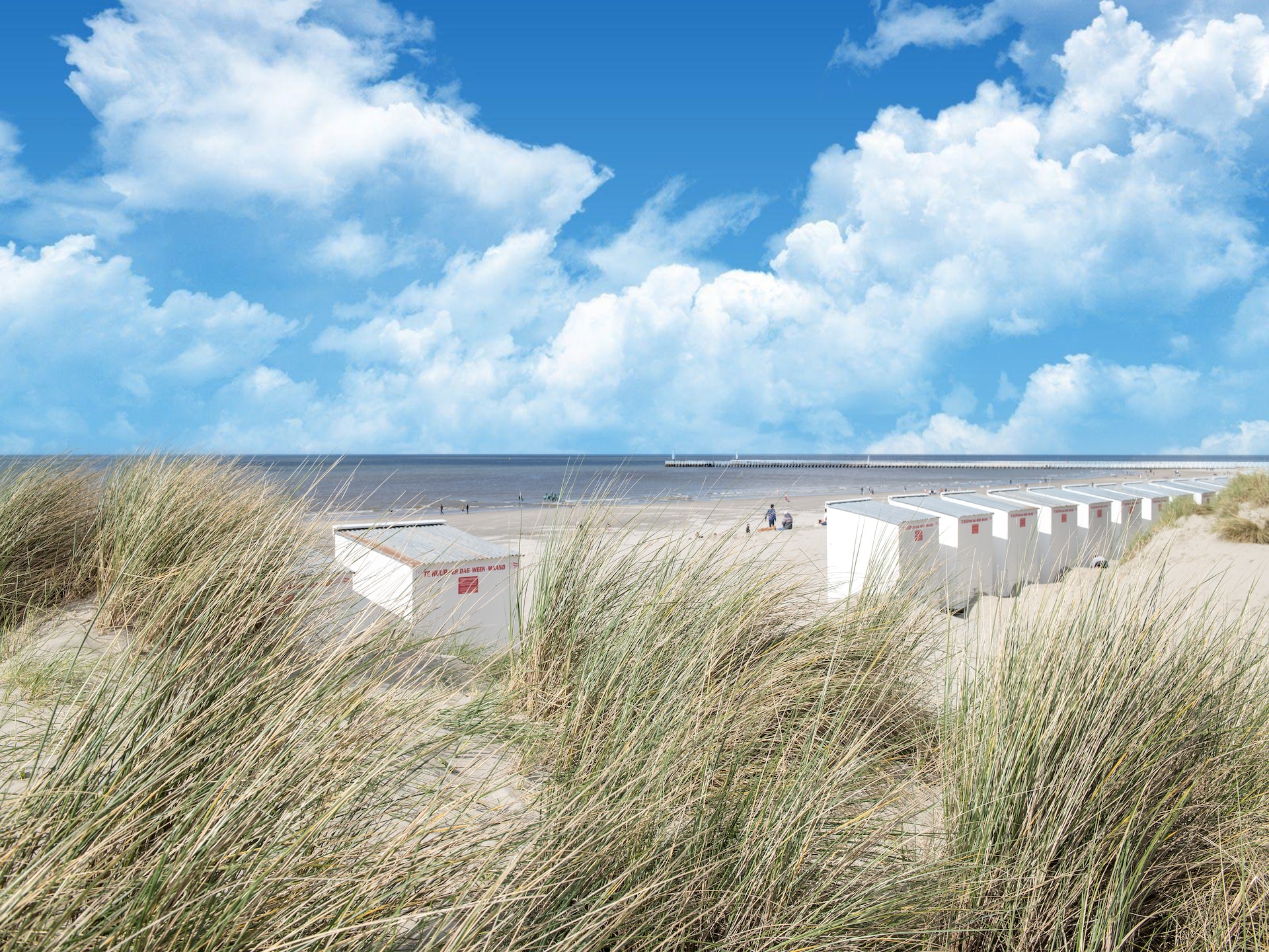 Golfbaan op 1 km: 4-persoons studio met terras in Oostduinkerke - foto 13
