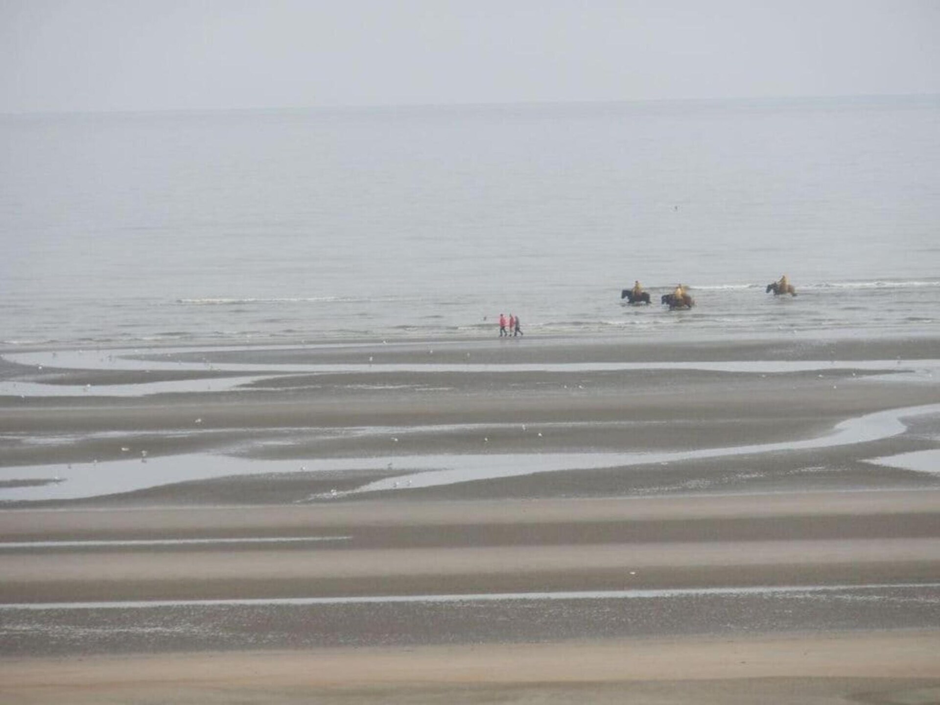 Golfbaan op 1 km: 5-persoons appartement in Oostduinkerke - foto 31