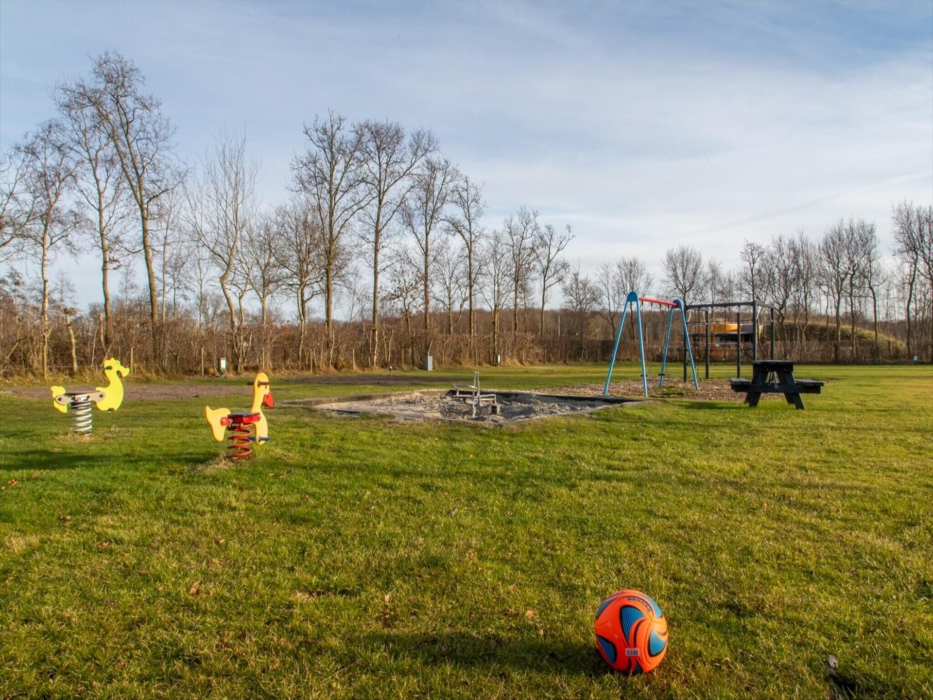Luxe chalet Bosdier op Camping de Duinhoeve – rust, natuur en comfort - foto 20