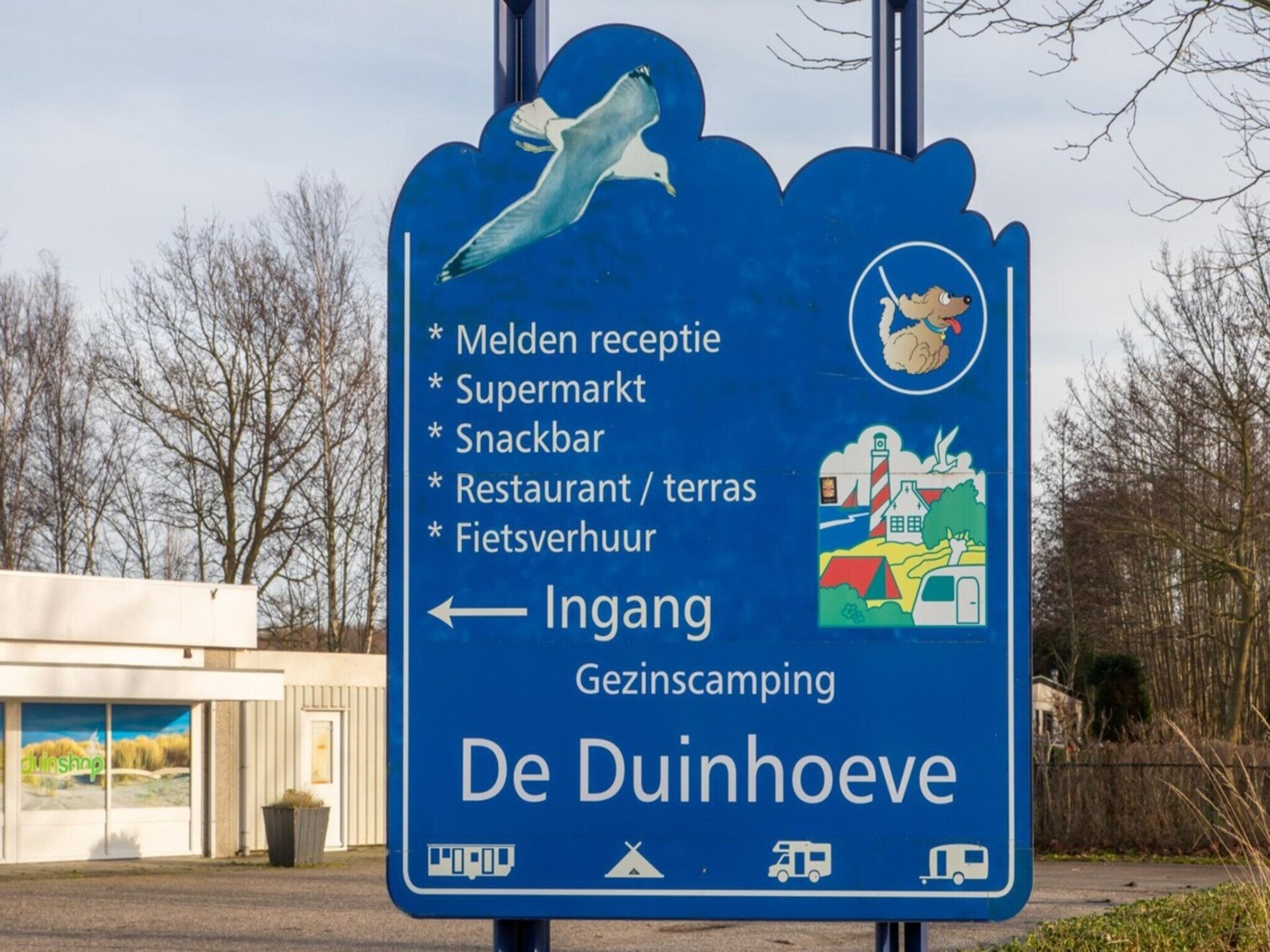 Luxe chalet Bosdier op Camping de Duinhoeve – rust, natuur en comfort - foto 31