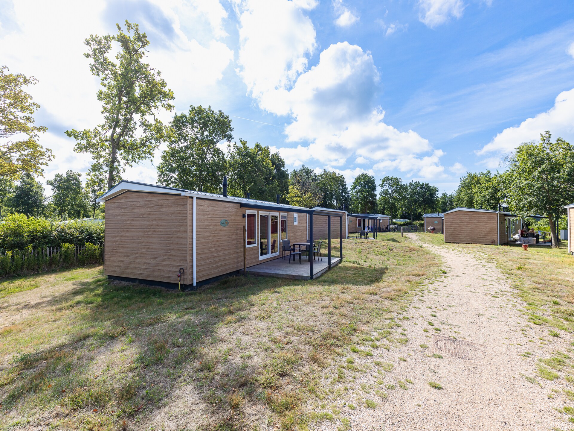 Luxe chalet Bosdier op Camping de Duinhoeve – rust, natuur en comfort - foto 33