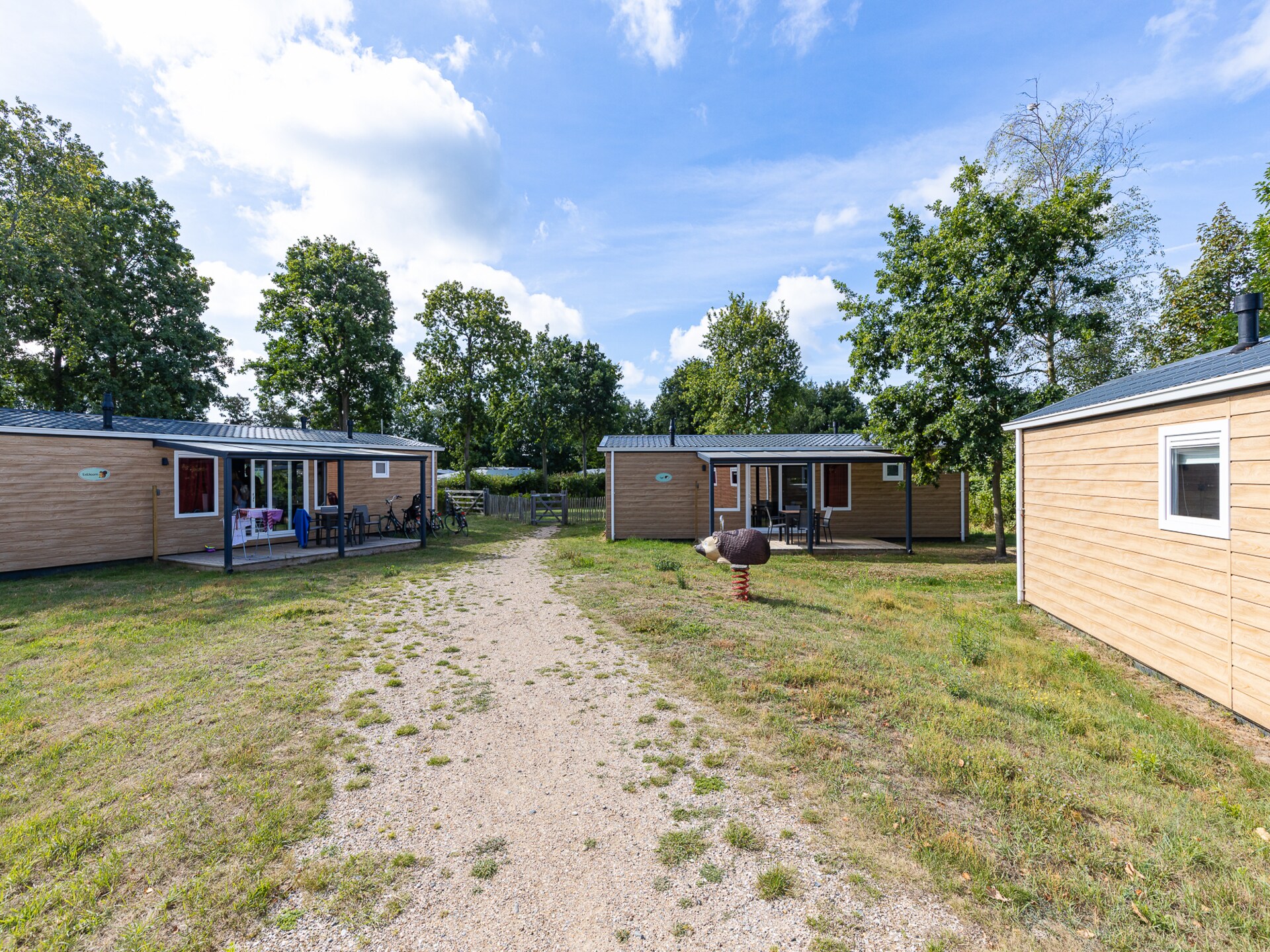 Luxe chalet Bosdier op Camping de Duinhoeve – rust, natuur en comfort - foto 41